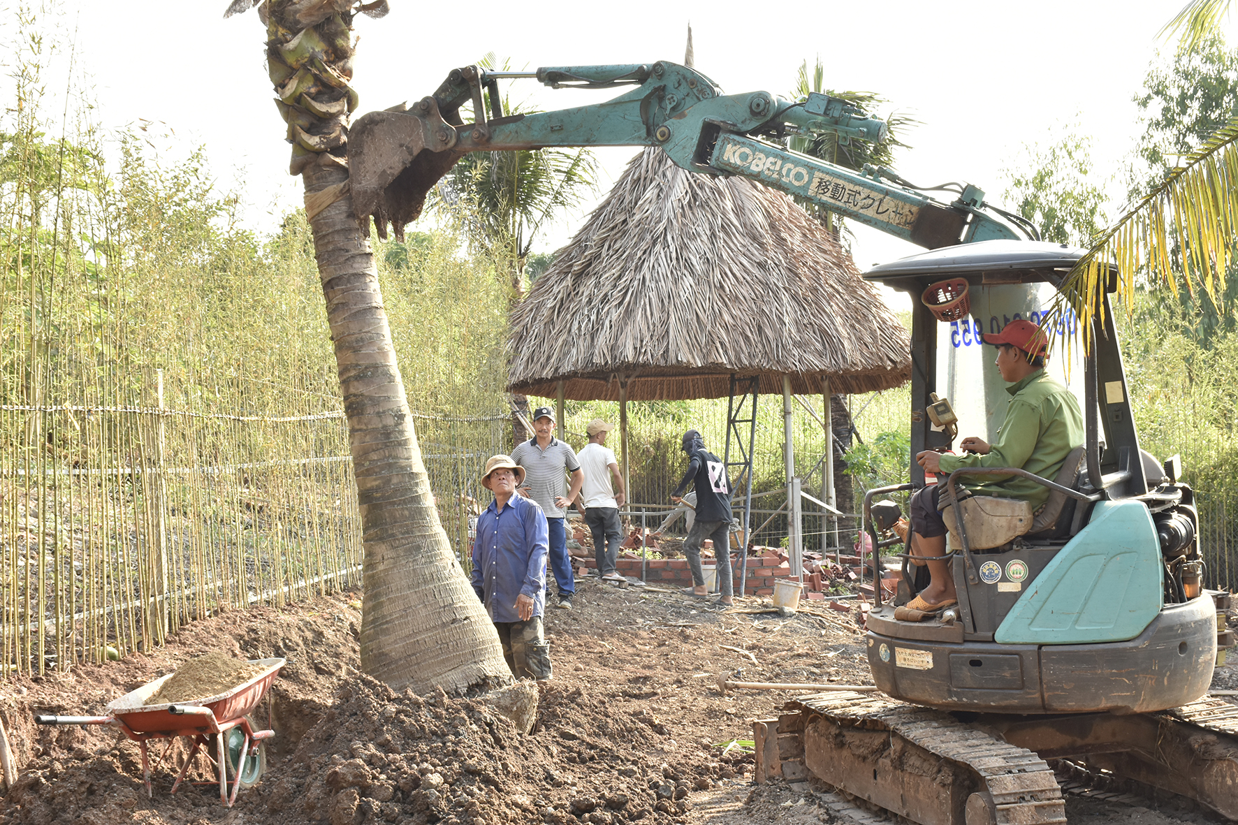 Trồng cây, tôn tạo khuôn viên tại Đinh Gia Trang. 