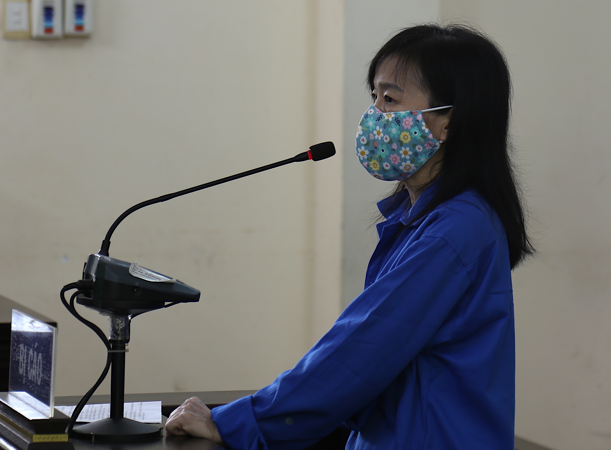 Nguyễn Thị Trinh bị tuyên phạt 13 năm tù vì tội 