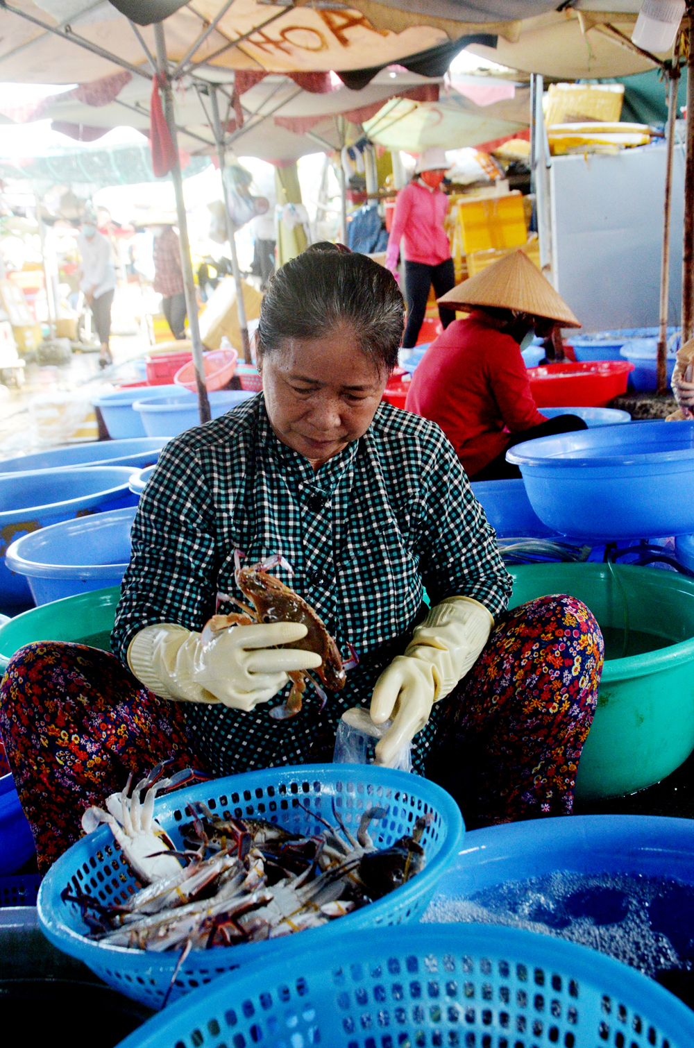 Tiểu thương chợ Phước Hải lựa và cân hàng cho khách sáng 2/9.