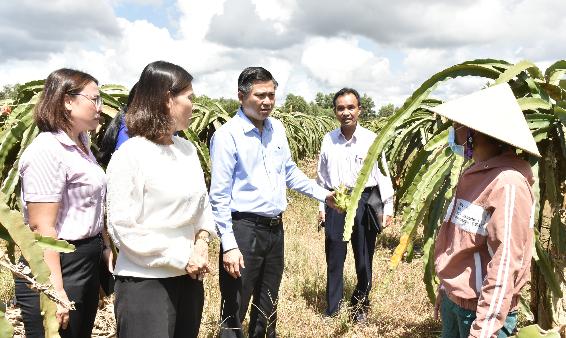 Ông Trần Văn Tuấn, Phó Chủ tịch UBND tỉnh, Trưởng Ban Đại diện và các thành viên HĐQT NHCSXH tỉnh giám sát hiệu quả sử dụng vốn vay tại hộ gia đình chị Nguyễn Thị Bích Thọ.