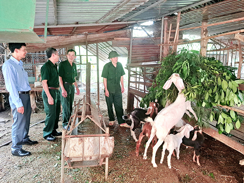 Lãnh đạo Hội CCB huyện Xuyên Mộc thường xuyên động viên, thăm hỏi mô hình nuôi dê của ông Nghiêm Chí Tài (bìa phải).