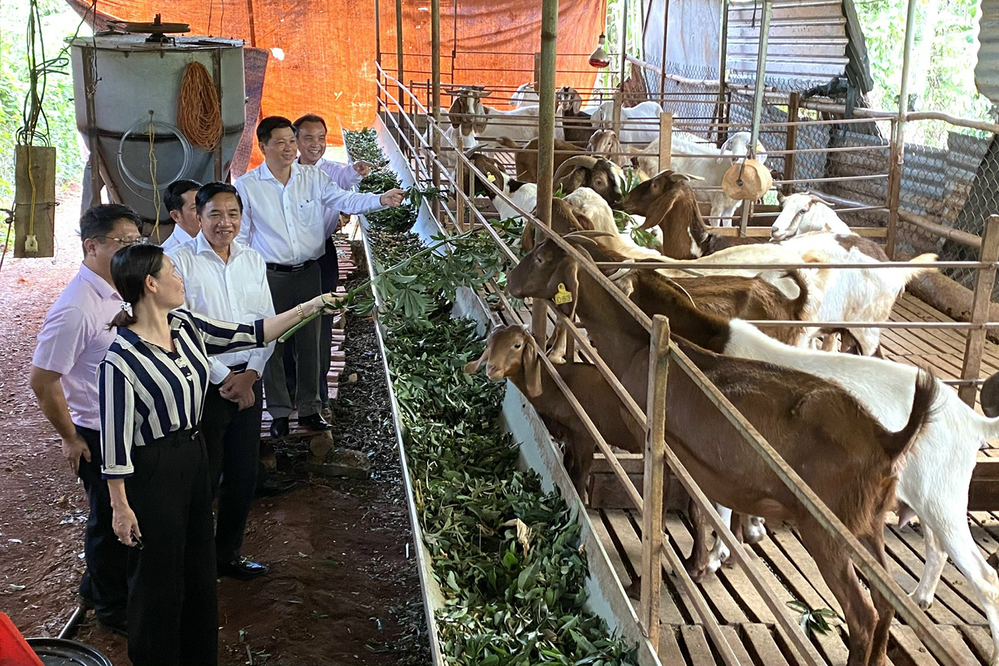Các thành viên Ban Đại diện HĐQT NHCSXH giám sát hiệu quả sử dụng vốn vay tại hộ gia đình anh Nguyễn Công Chính - chị Phan Thị Hải Thúy.