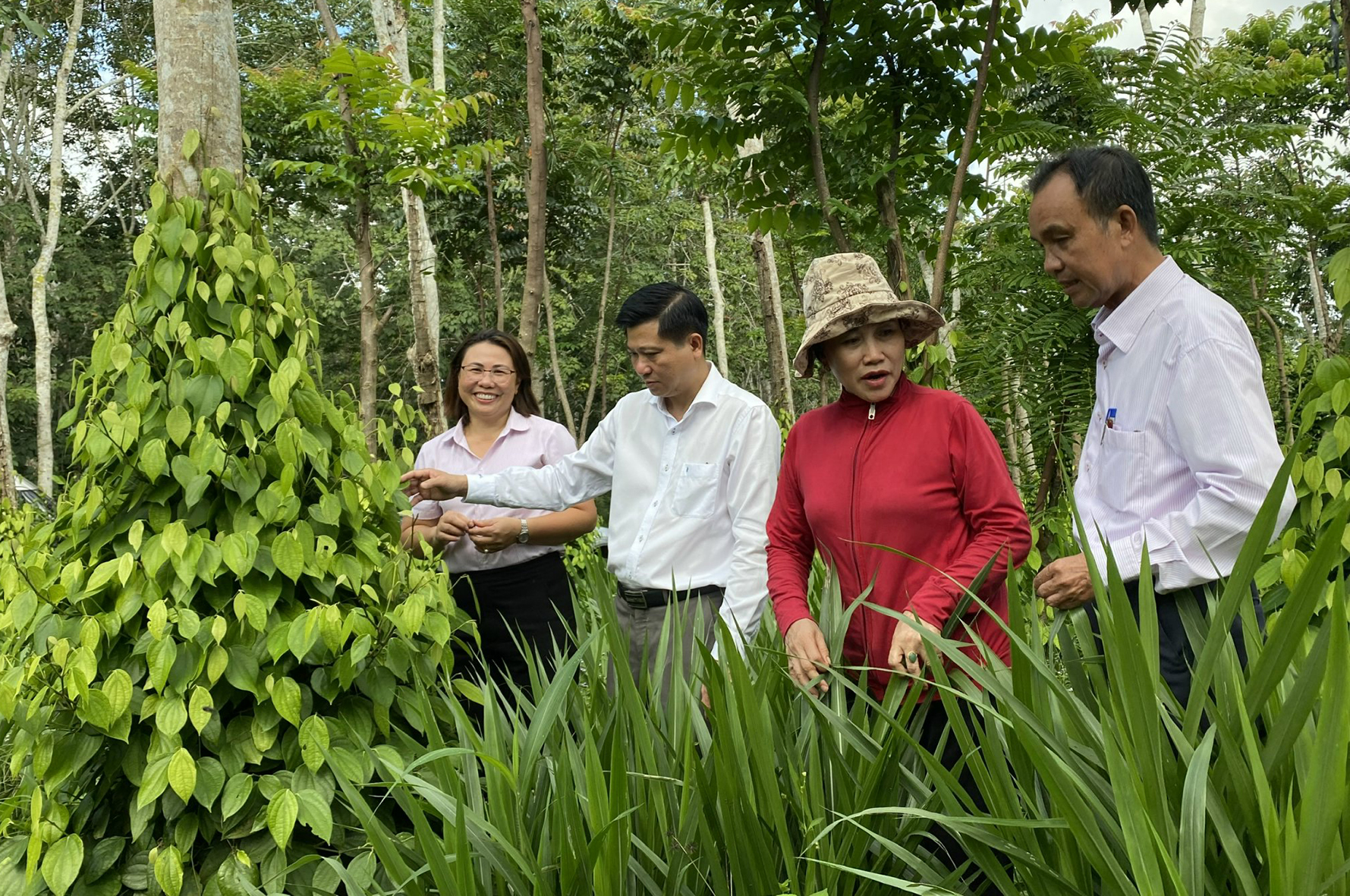 Nhờ được vay vốn NHCSXH và chăm chỉ lao động, bà Trần Thị Liên (thứ 2, từ phải sang) vươn lên thoát nghèo, có kinh tế ổn định