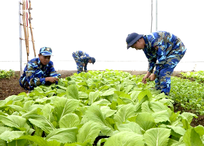 Cán bộ, chiến sĩ Vùng CSB 3 tăng gia sản xuất.