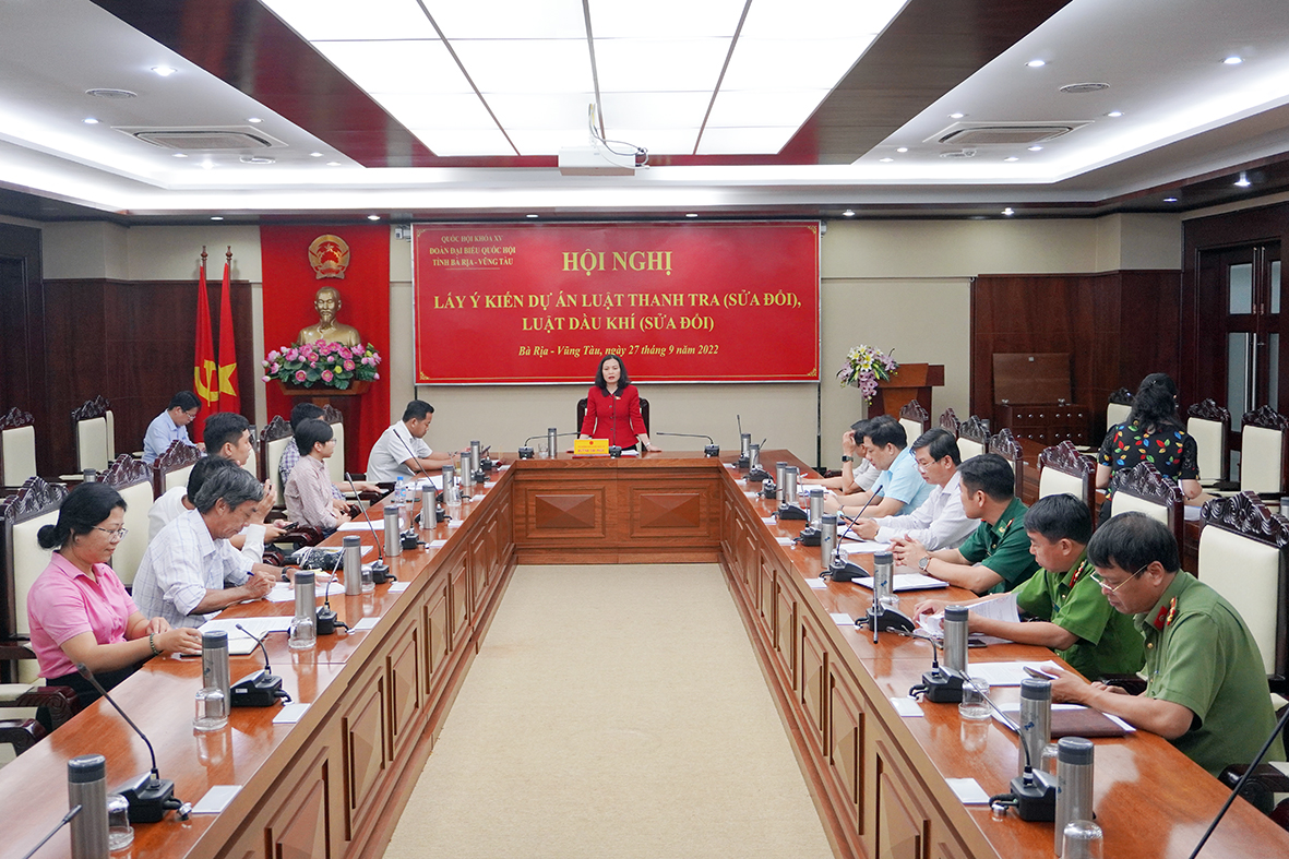 Bà Huỳnh Thị Phúc, Phó Trưởng Đoàn ĐBQH tỉnh phát biểu tại hội nghị.