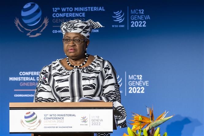 Tổng giám đốc Tổ chức Thương mại Thế giới  Ngozi Okonjo-Iweala.