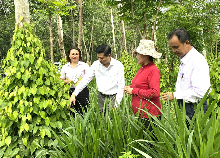 Nhờ được vay vốn NHCSXH và chăm chỉ lao động, bà Trần Thị Liên (thứ 2, từ phải sang) vươn lên thoát nghèo, có kinh tế ổn định. Trong ảnh: Các thành viên Ban Đại diện HĐQT NHCSXH giám sát hiệu quả sử dụng vốn vay tại hộ gia đình bà Trần Thị Liên.