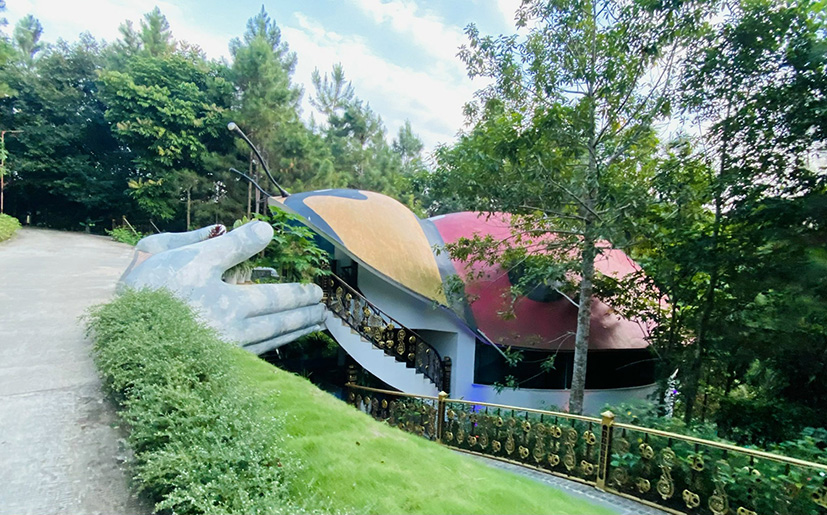 Villa Cánh Cam nép mình dưới cánh rừng xanh mướt.