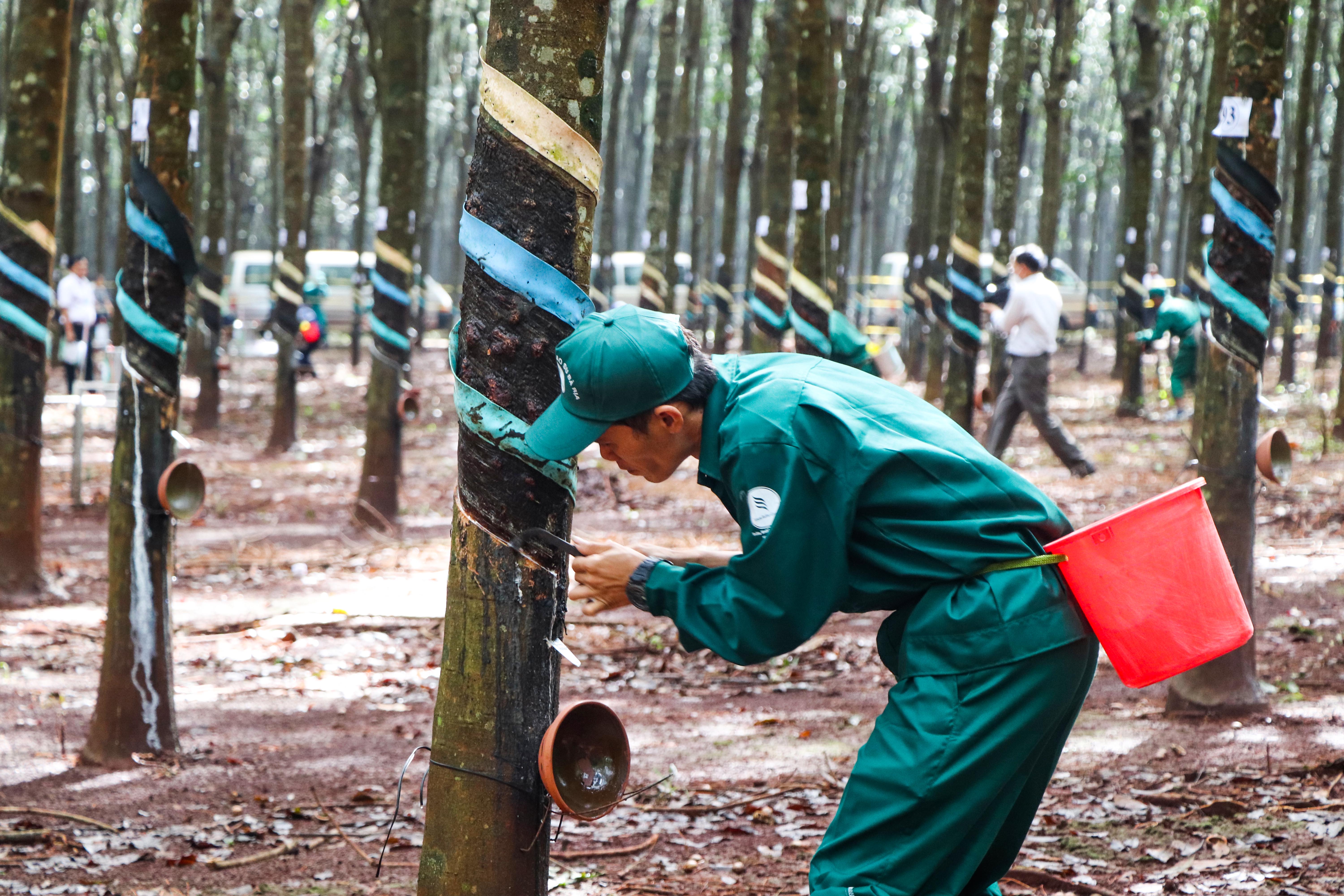 Thí sinh tham gia nội dung thi thực hành.