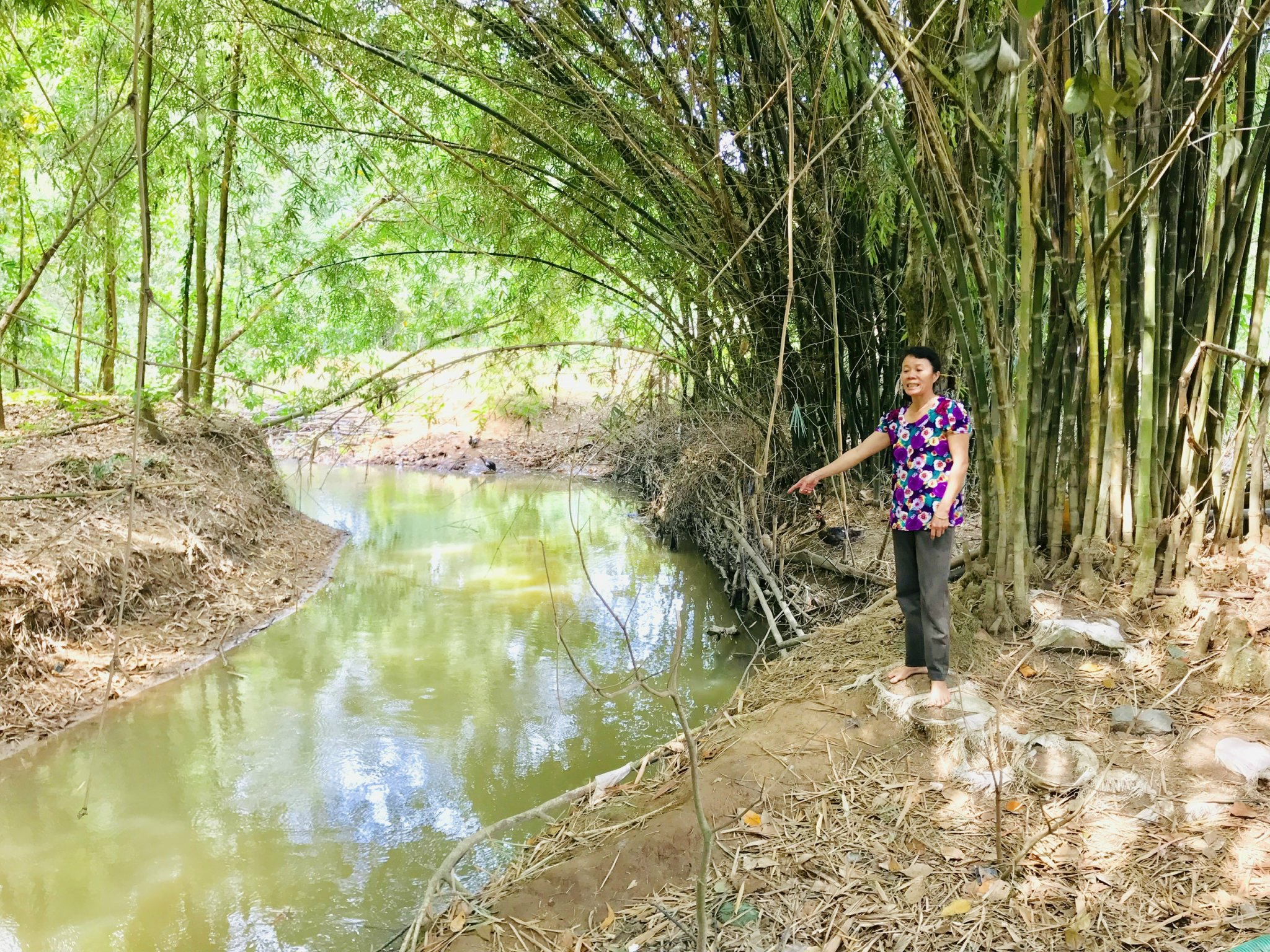 Người dân liên tục phản ánh suối Giao Kèo bị ô nhiễm do hoạt động xả thải của các nhà máy trong KXLCTTT Tóc Tiên.