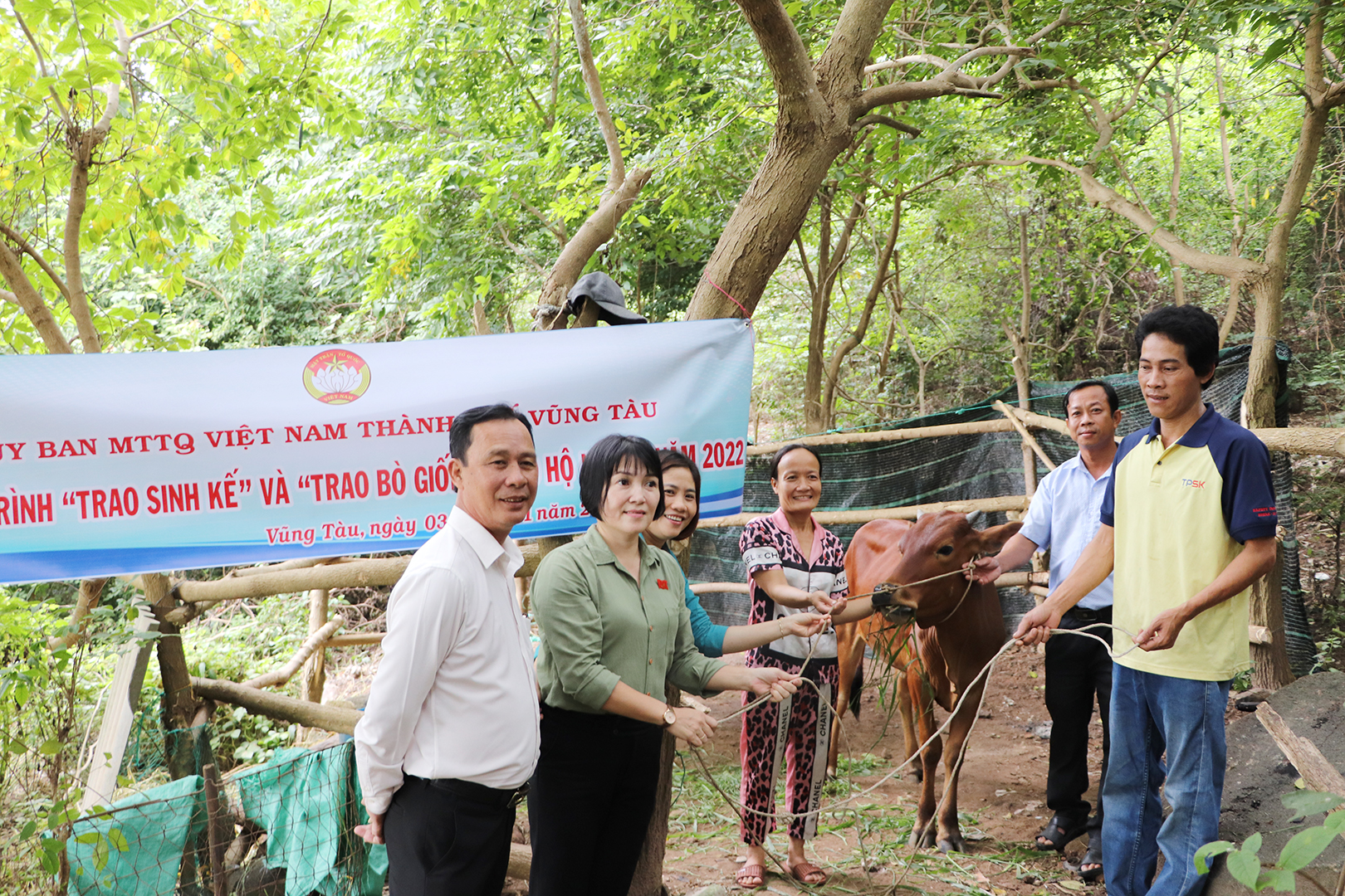 Bà Mai Ngọc Oanh, Chủ tịch Ủy ban MTTQ Việt Nam TP.Vũng Tàu trao con bò giống đến hộ ông Hồ Thanh Kiệt.
