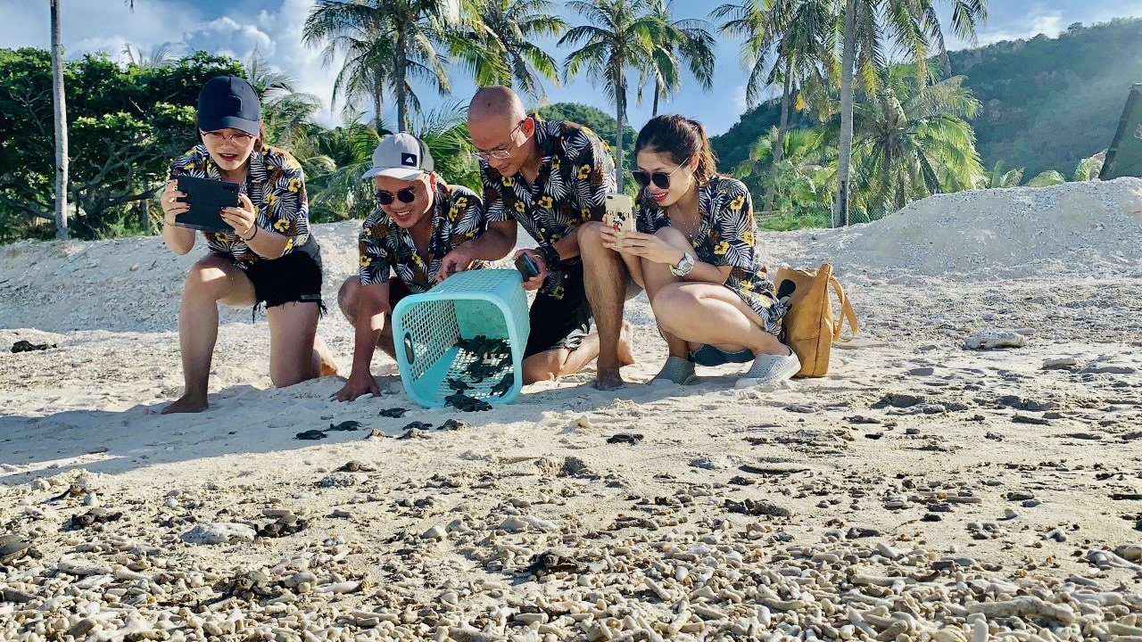 Du khách tham gia thả rùa con về biển Côn Đảo