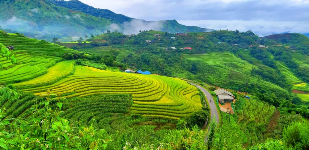 Cách TP. Lai Châu khoảng 30 km, bản Sin Suối Hồ (xã Sin Suối Hồ) nằm yên bình dưới chân núi Sơn Bạc Mây. Nơi đây có 148 hộ gia đình người Mông sinh sống. Ảnh: ST