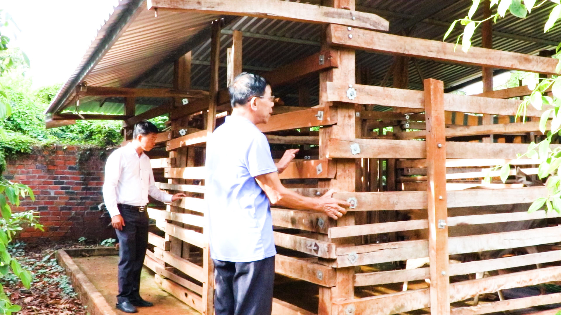 Hộ ông Nguyễn Văn Chế, ở ấp 1, xã Hòa Bình thu lợi nhuận hơn 100 triệu đồng/năm từ mô hình nuôi nai giống và lấy nhung.