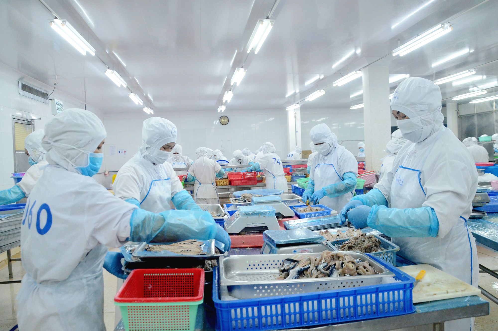 Công ty Baseafood là 1 trong 3 DN của tỉnh đạt danh hiệu “Doanh nghiệp xuất khẩu uy tín” năm 2021 vừa được  Bộ Công thương công bố. Trong ảnh: Công nhân Công ty Baseafood chế biến hàng hải sản xuất khẩu tại xưởng.