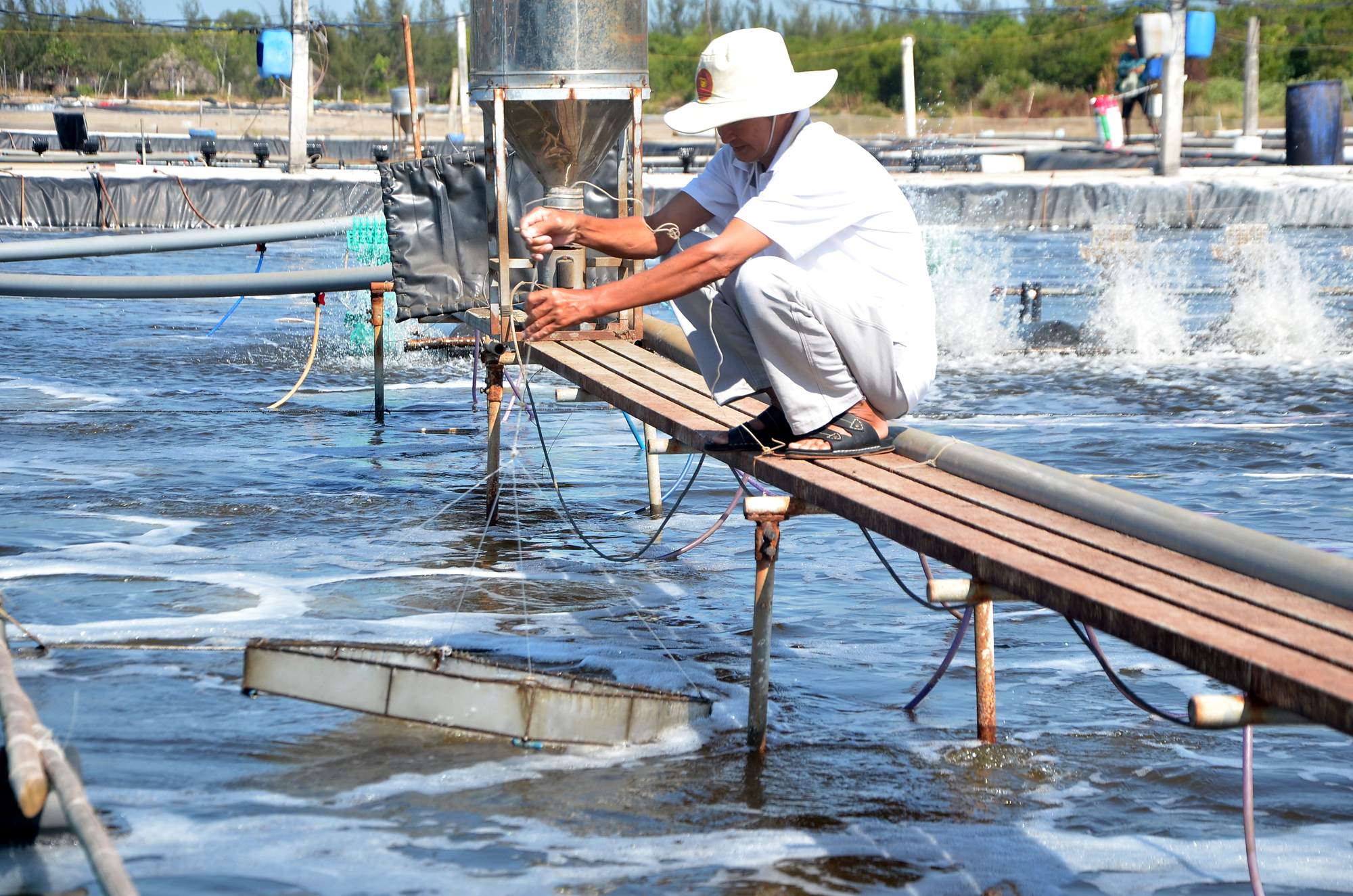 Các chỉ tiêu kinh tế của huyện năm 2022 có sự tăng trưởng ổn định. Trong ảnh: Nuôi tôm công nghệ cao tại xã Lộc An, huyện Đất Đỏ.