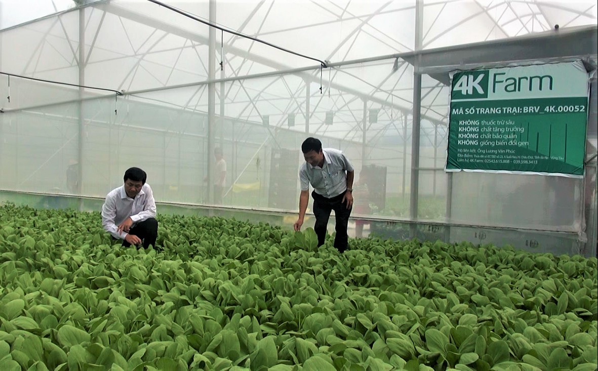 DN sản xuất nông nghiệp công nghệ cao trên địa bàn huyện Châu Đức