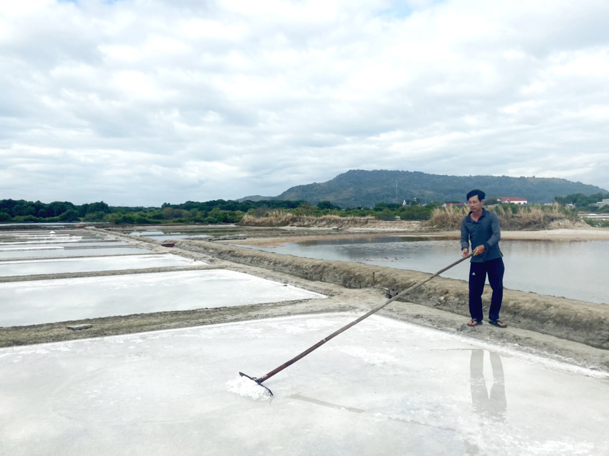 Giá tăng cao nhưng hầu hết diêm dân không có muối để bán.  Trong ảnh: Diêm dân xã An Ngãi bước vào sản xuất niên vụ muối 2022-2023.