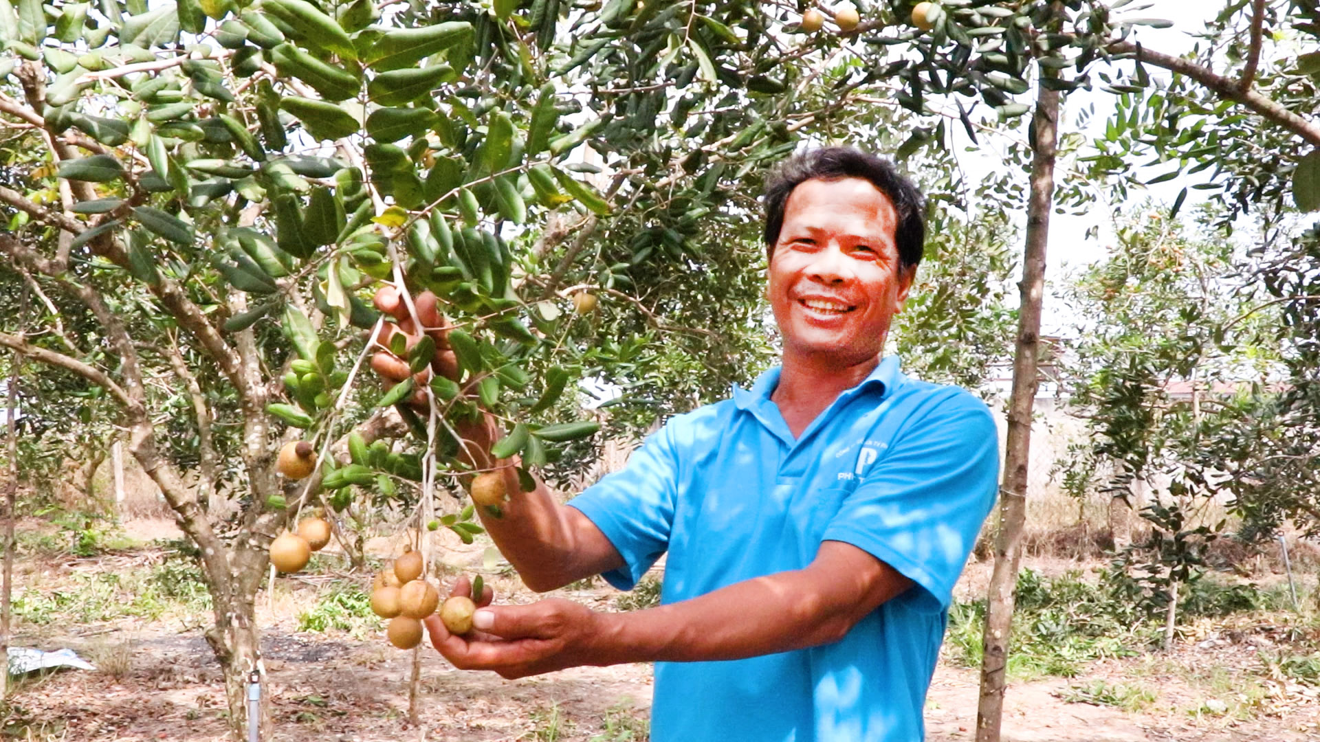 Ông Trần Văn Long, ấp Trang Định, xã Bông Trang chia sẻ kỹ thuật chăm sóc, cắt tỉa cành, bón phân và chong đèn để nhãn ra hoa, đậu quả theo ý người trồng.