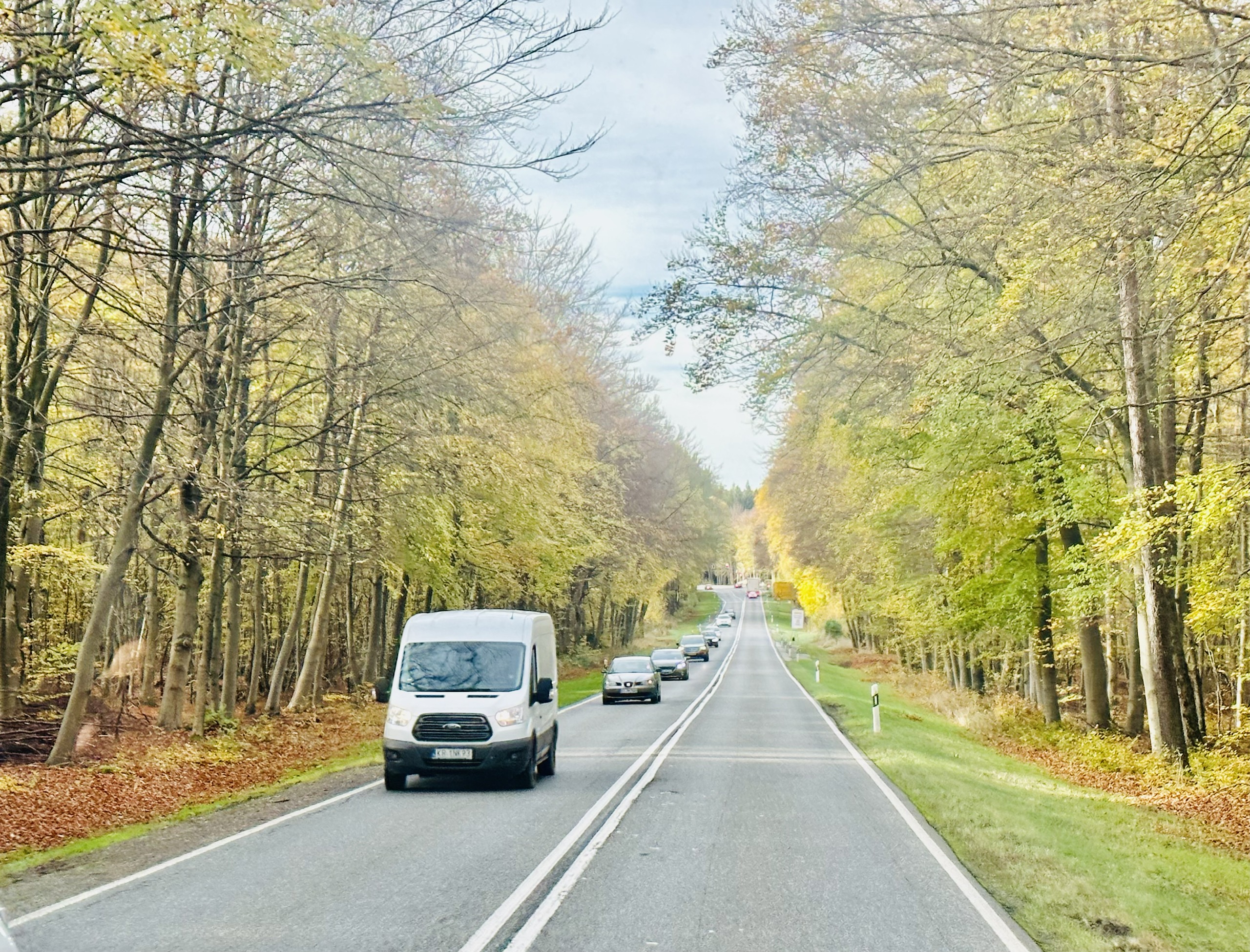 Đường phố Frankfurt hai bên là cây cối giúp bảo vệ môi trường tốt nhất.