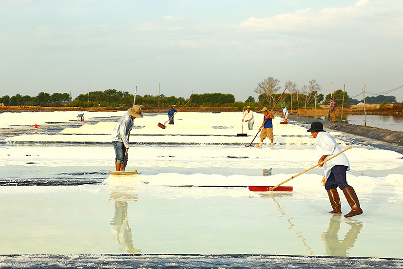Xa quạt giúp diêm dân huyện Long Điền đỡ vất vả trong việc sản xuất muối.