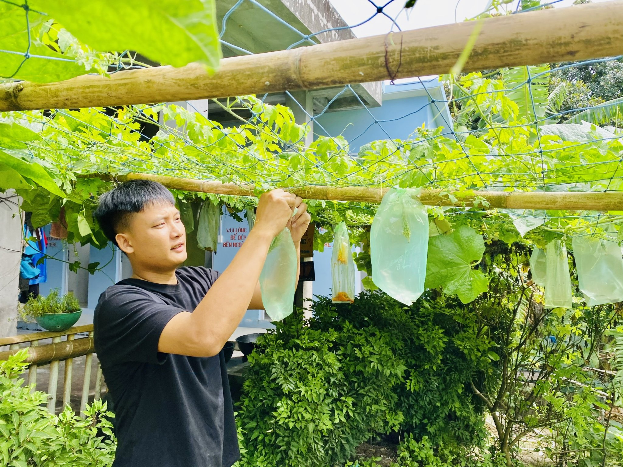 Người dân cần theo dõi các bản tin thời tiết để có hướng xử lý kịp thời cho hoa màu, cây trái khi có hạn hán xảy ra