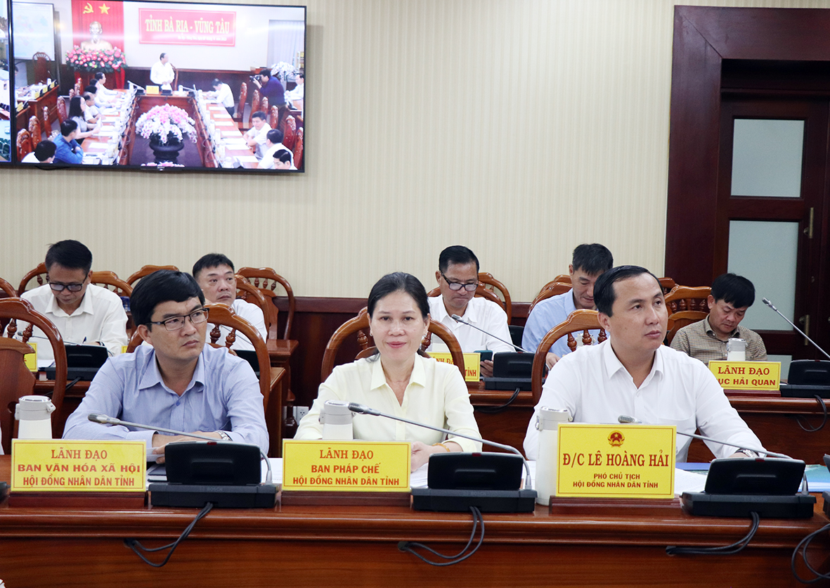 Phó Chủ tịch HĐND tỉnh Lê Hoàng Hải và đại diện các Ban của HĐND tỉnh tham dự cuộc họp.