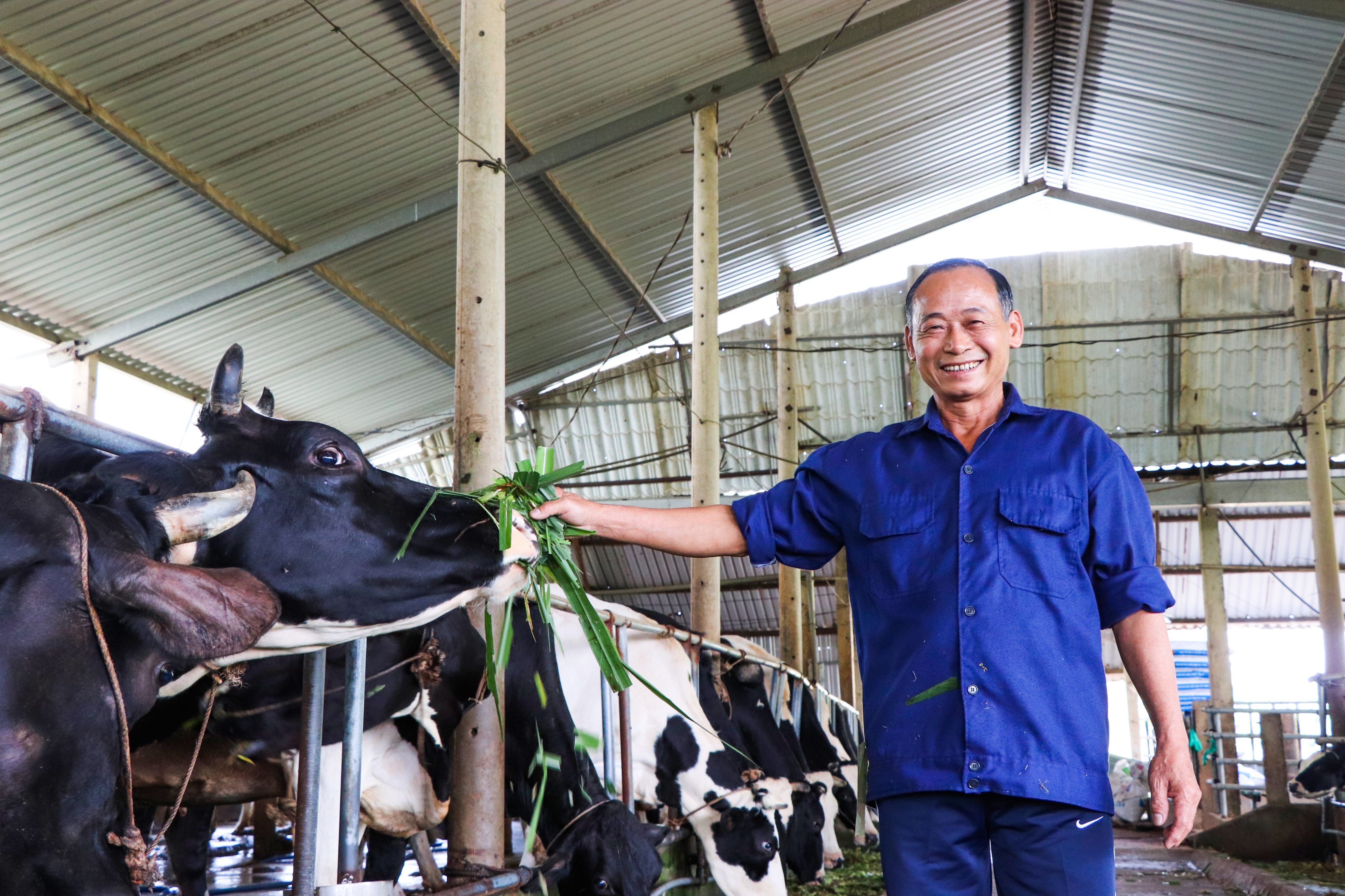 Ông Nguyễn Văn Nhiệm, đạt danh hiệu nông dân sản xuất, kinh doanh giỏi cấp Trung ương với mô hình khép kín từ nuôi bò lấy sữa đến chế biến các sản phẩm từ sữa bò.