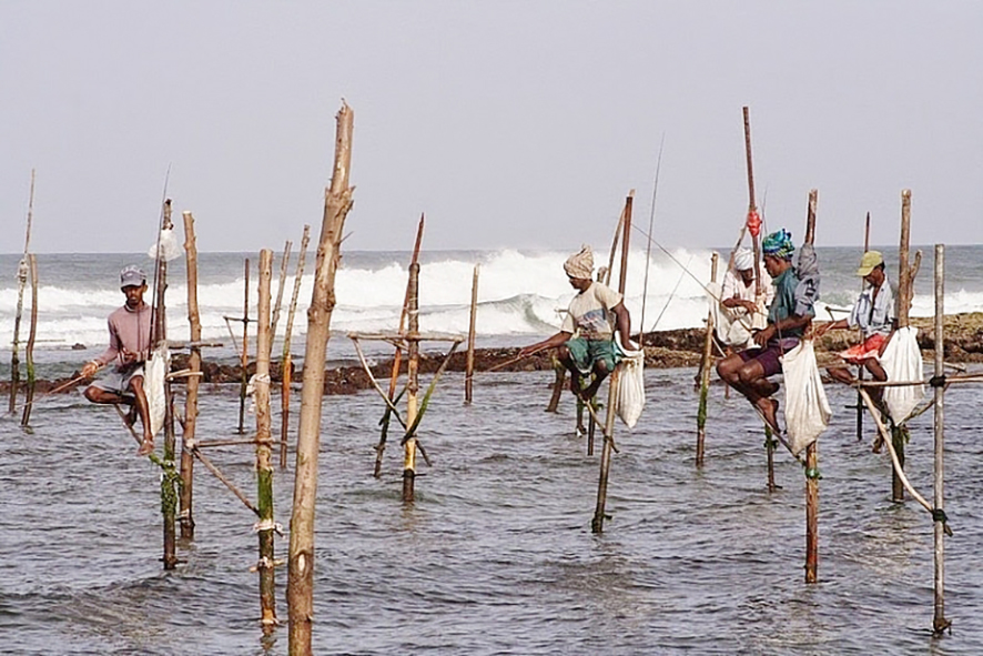 Nghệ thuật câu cá trên cọc kheo độc đáo của người Sri Lanka.