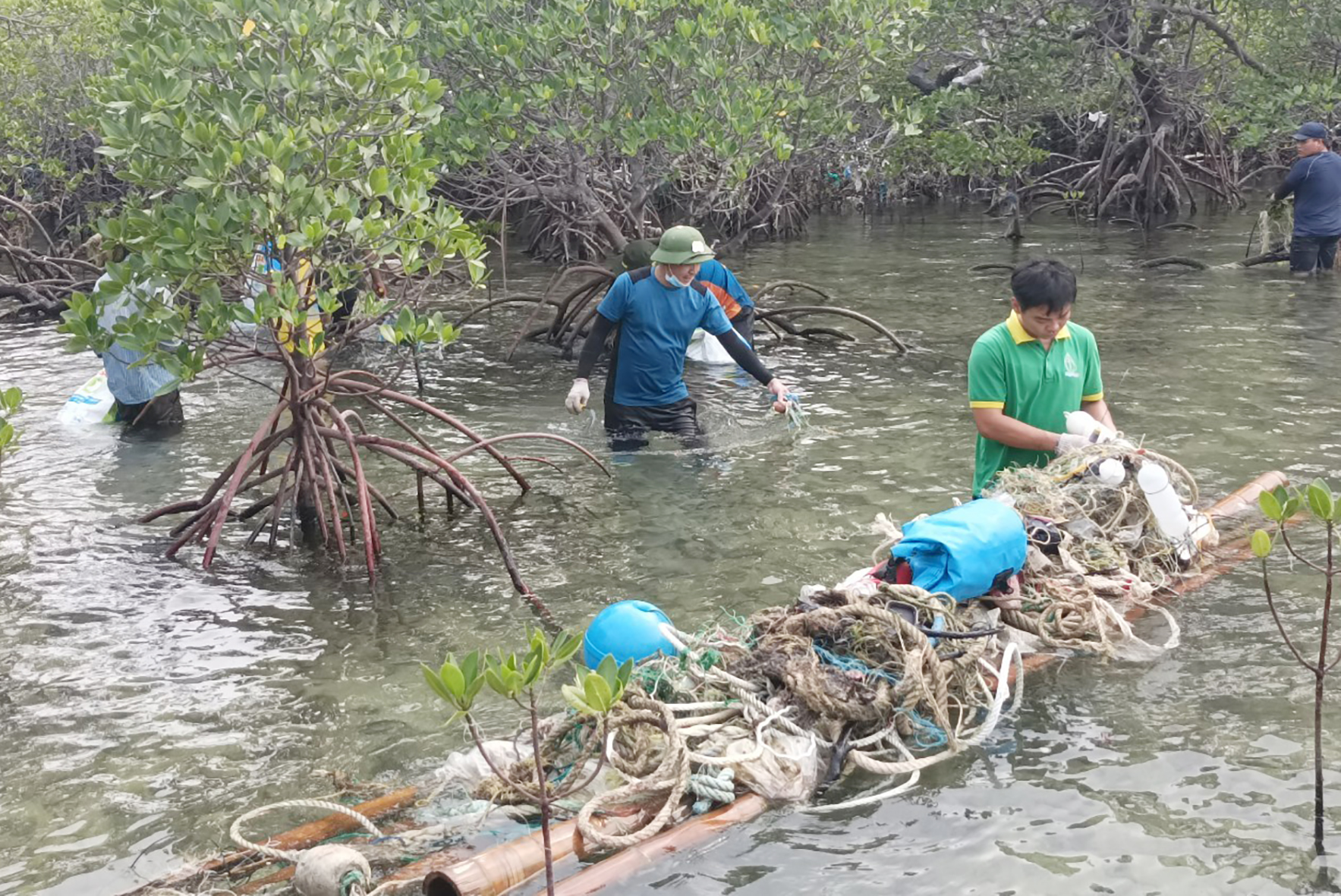 Thu gom rác trong rừng ngập mặn Bãi Bờ Đập
