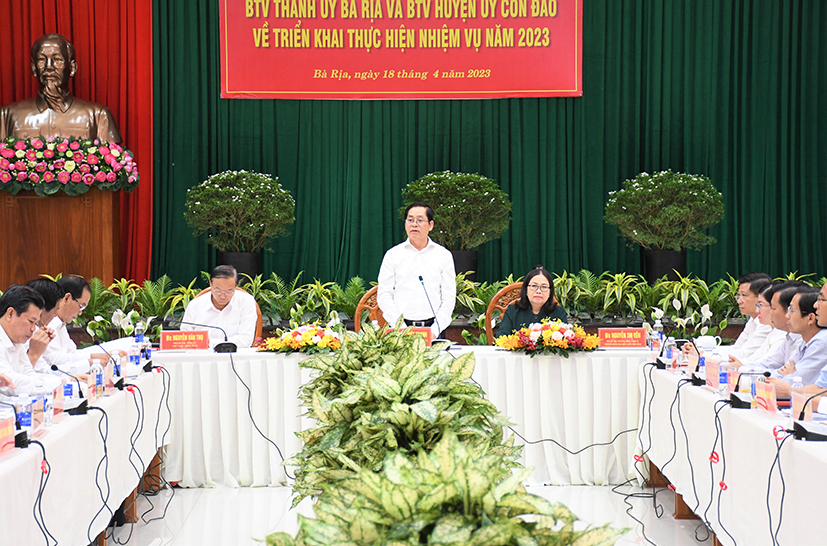 Bí thư Tỉnh ủy Phạm Viết Thanh phát biểu chỉ đạo tại buổi làm việc.