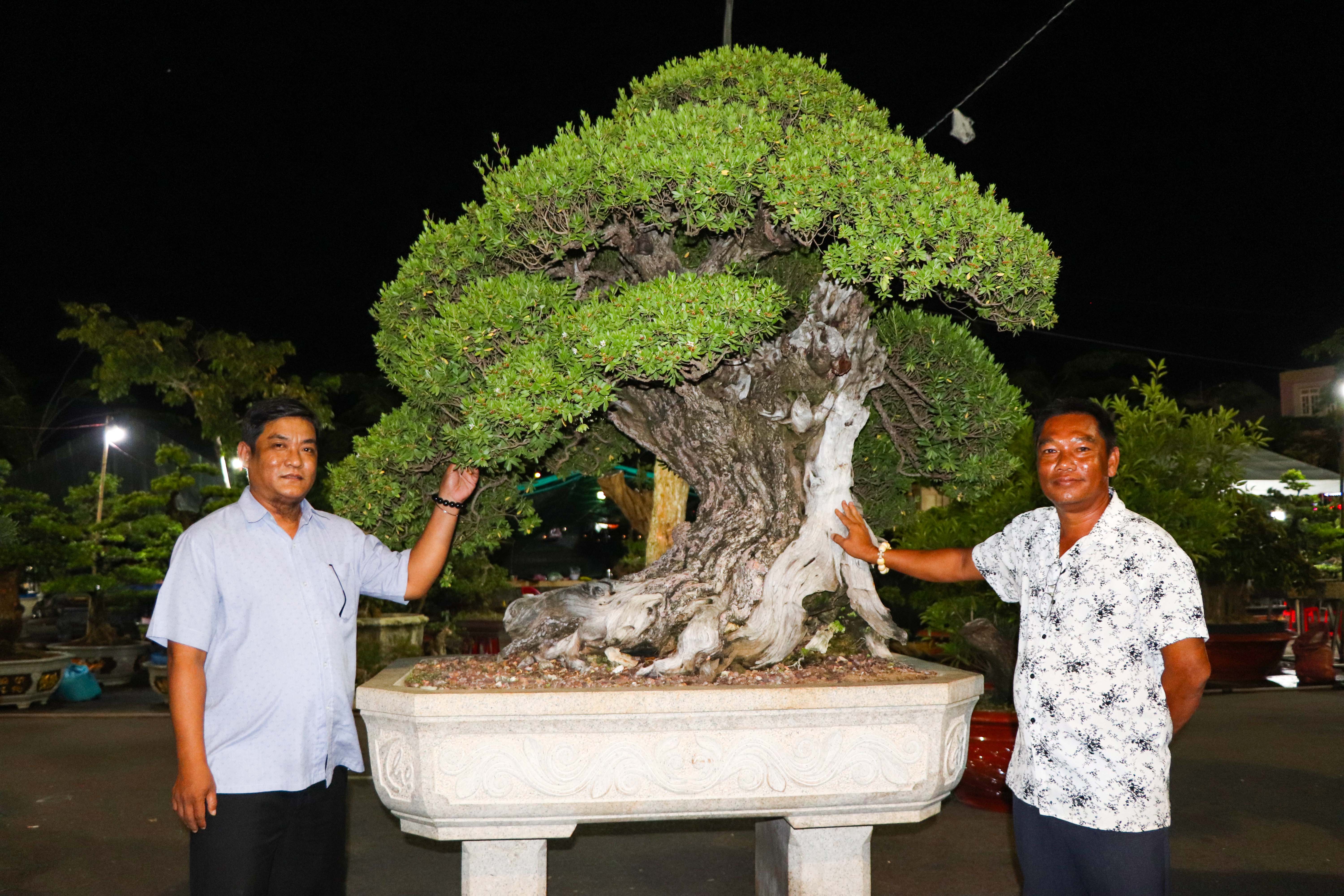 Ông Trần Phúc Lộc (bên phải), chủ vườn bonsai Phúc Lộc cho biết, cây hải sơn tùng thuộc hàng quý hiếm, cây có tuổi đời hơn 100 năm, giá bán gần 2 tỷ đồng. 