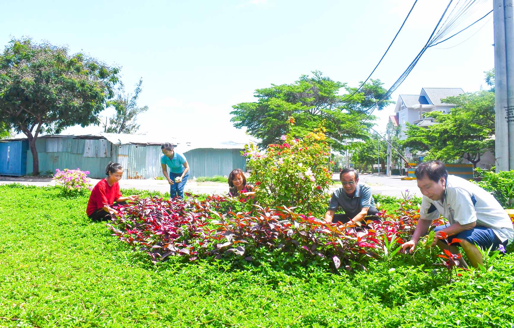 Đảng viên và người dân KP.9 (phường Thắng Nhì, TP. Vũng Tàu) chăm sóc vườn hoa được cải tạo từ bãi rác trên địa bàn.