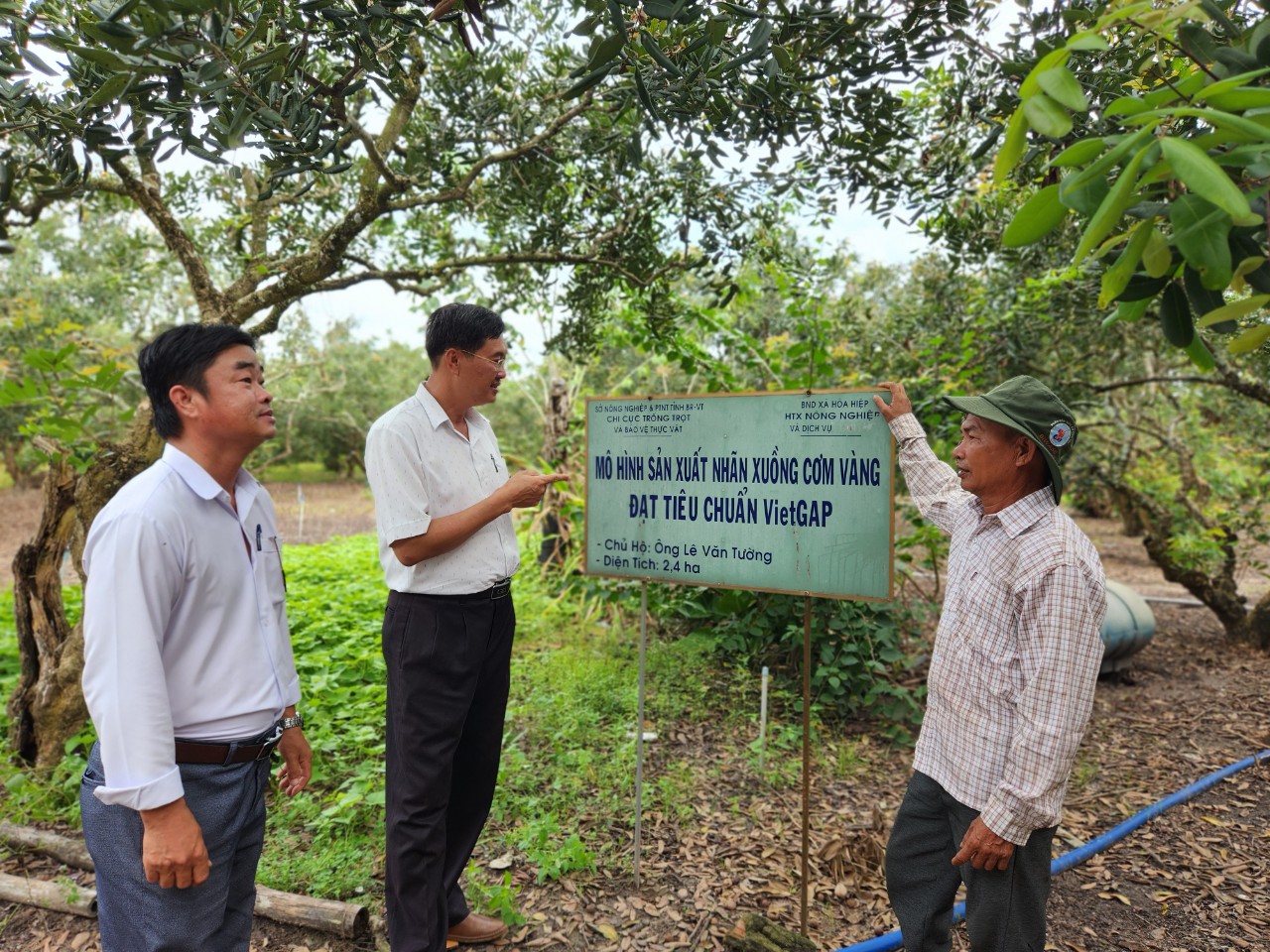 Ông Lê Văn Tường (bên phải), chủ trang trại Minh Quang trao đổi quy trình trồng nhãn VietGAP với lãnh đạo  Hội Nông dân huyện Xuyên Mộc.