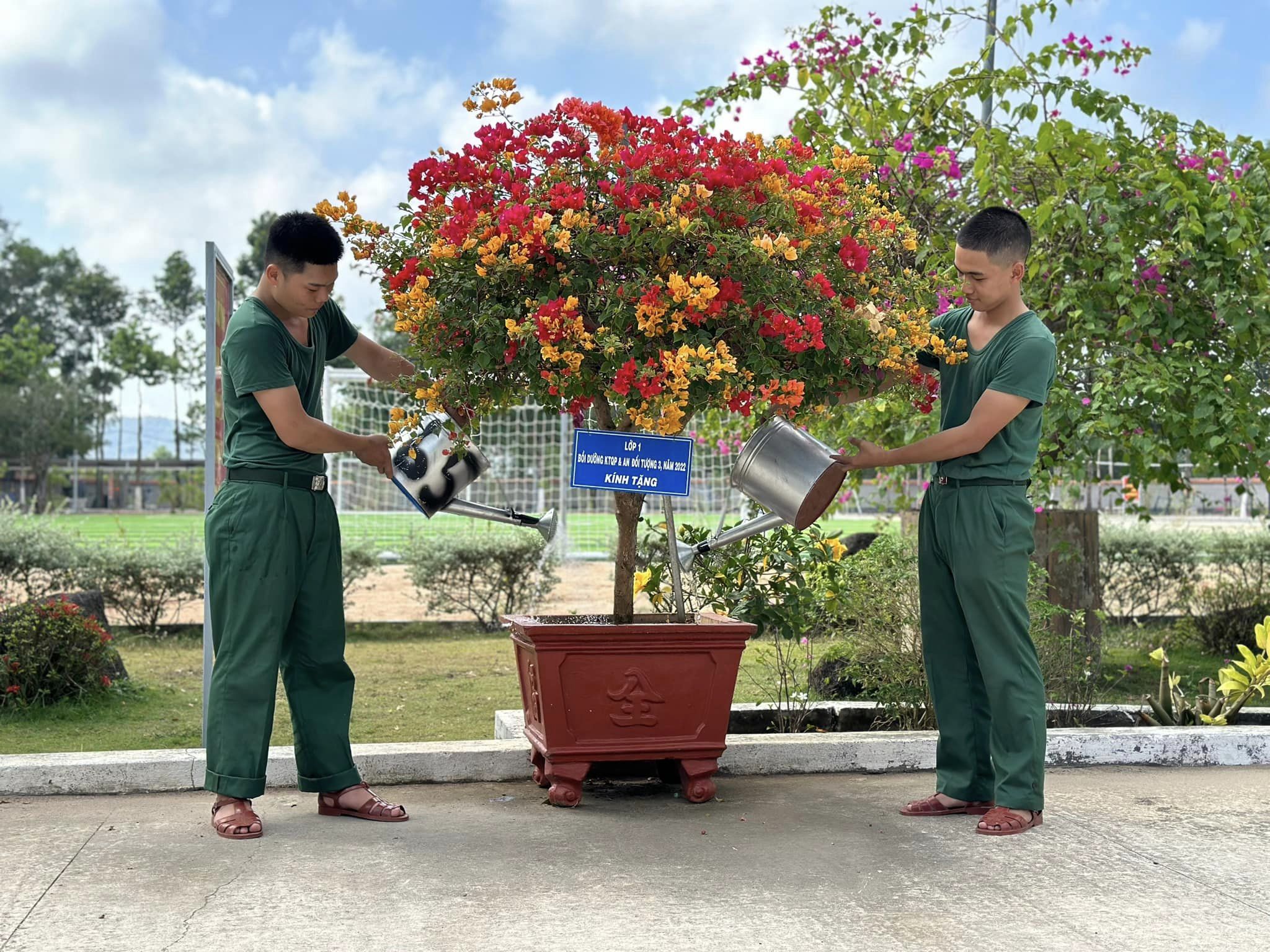 Chiến sĩ Trung đoàn Minh Đạm chăm sóc cây trong doanh trại.