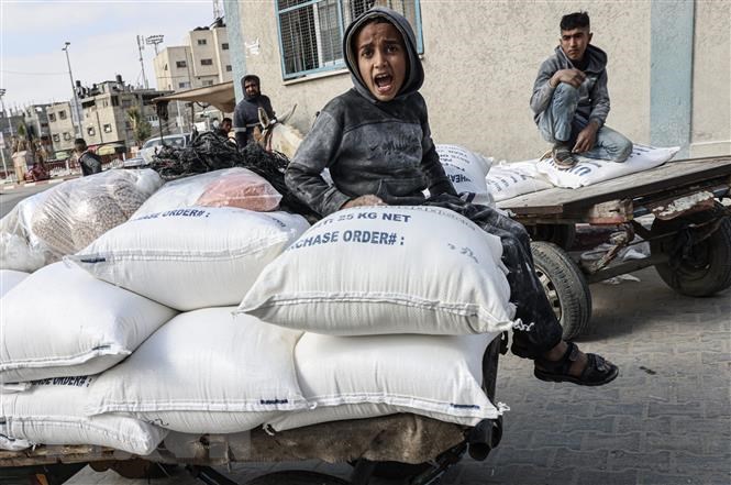 Người dân Palestine nhận hàng cứu trợ của Liên hợp quốc tại trại tị nạn Rafah,  phía Nam Dải Gaza.