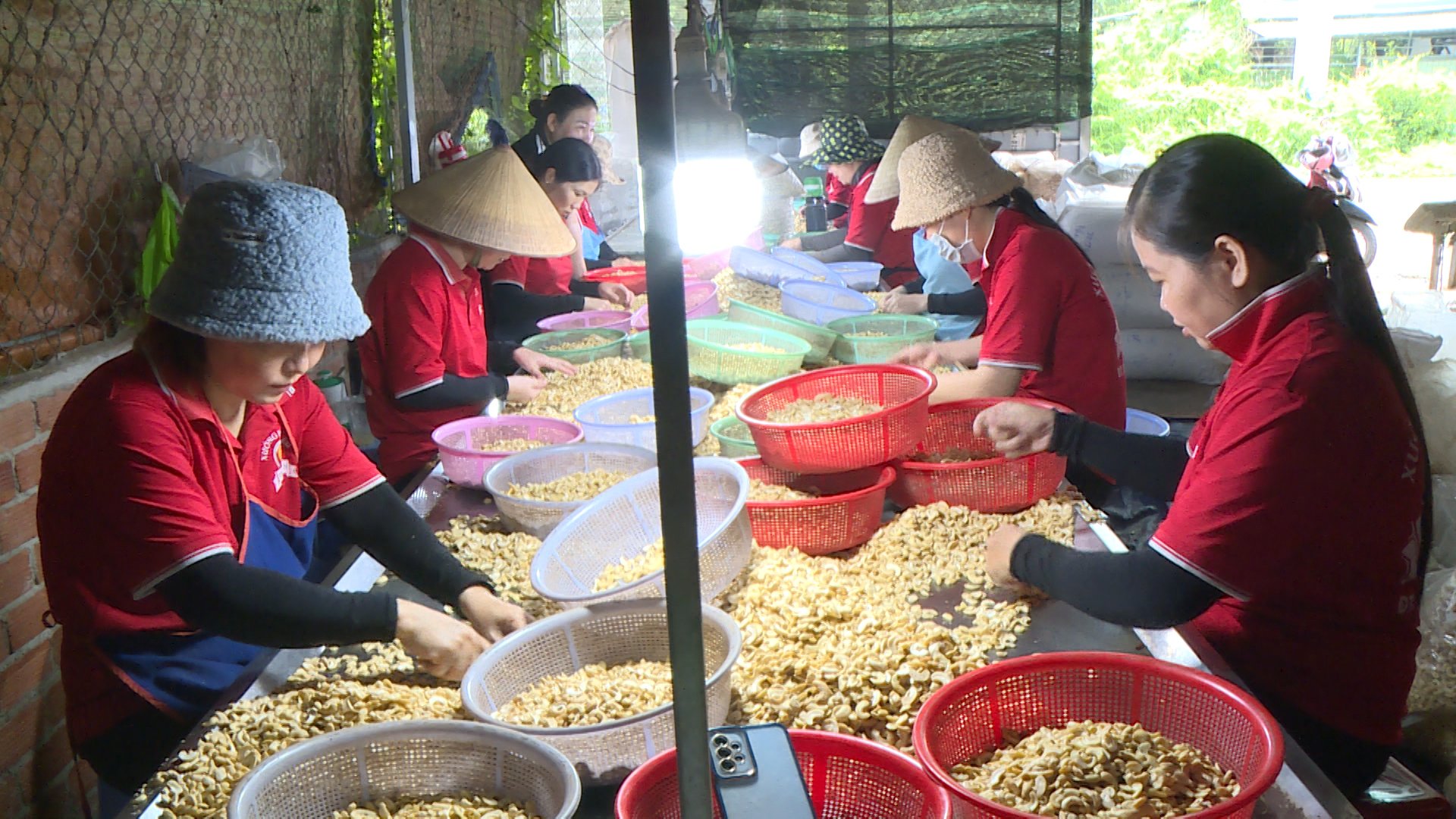 Xưởng hạt điều Thúy Vân đang tạo việc làm cho 10 công nhân với thu nhập khoảng 6 triệu đồng/người/tháng.