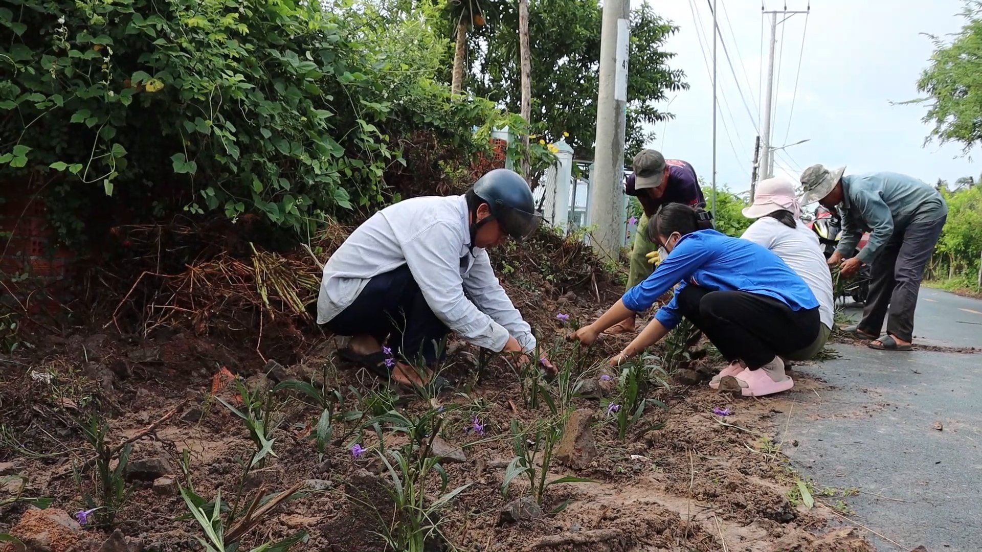 Đảng viên và người dân thị trấn Đất Đỏ trồng hoa trên các tuyến đường.
