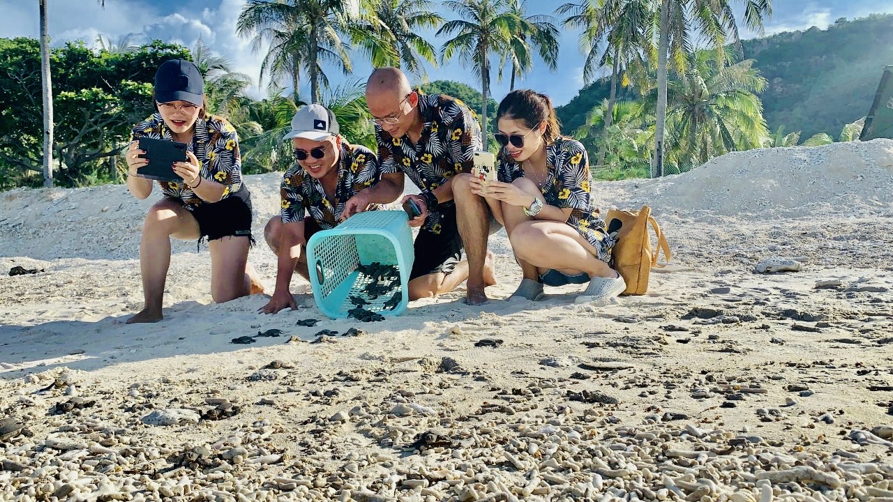 Khách du lịch tham gia thả rùa con về biển Côn Đảo, một trong những hoạt động bảo vệ đa dạng sinh học nổi bật tại tỉnh Bà Rịa - Vũng Tàu.