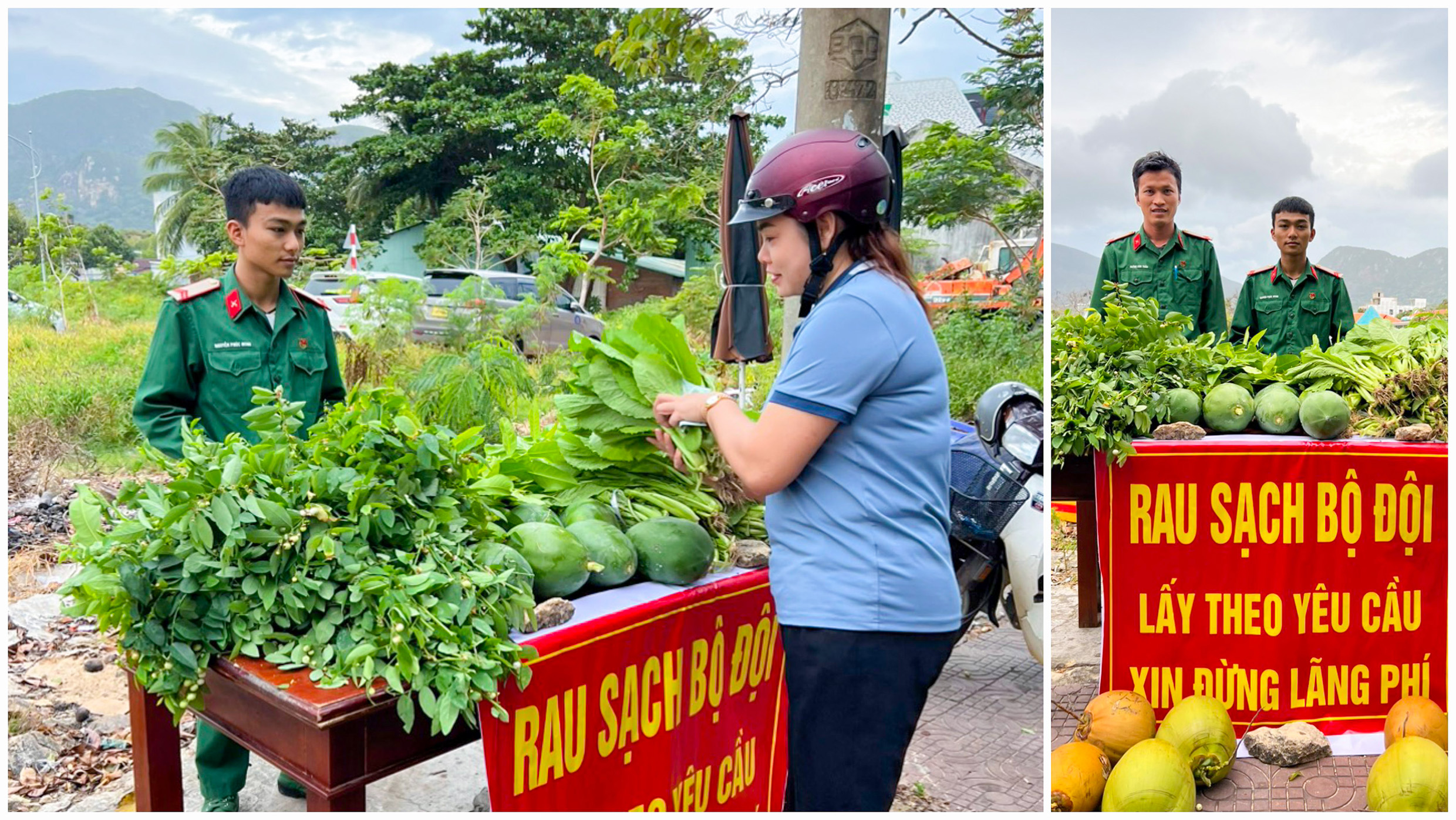 Những bó rau, củ quả tươi xanh, được cán bộ, chiến sĩ Kho K899, Ban CHQS huyện Côn Đảo dành tặng đến người dân.