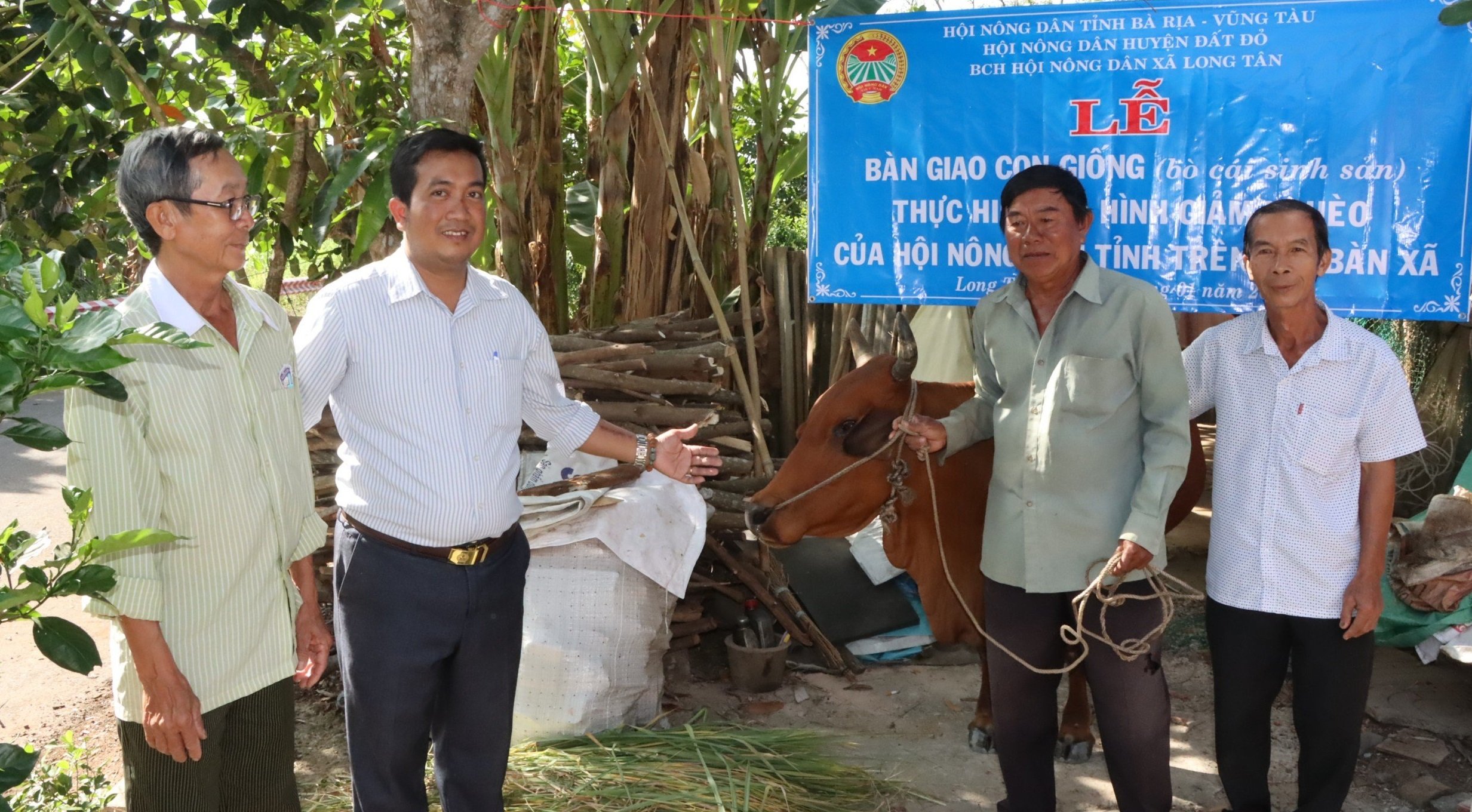 Hội Nông dân xã Long Tân trao bò sinh sản cho hội viên Lưu Trọng Hiếu (ấp Tân Hòa).