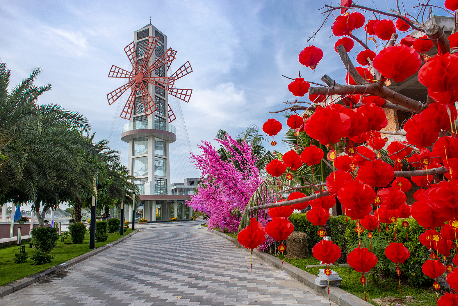 Check-in The Maris Vũng Tàu với đại lộ ánh sáng, con đường đa sắc màu, hàng cây hồng phát rực rỡ đón năm mới bình an.