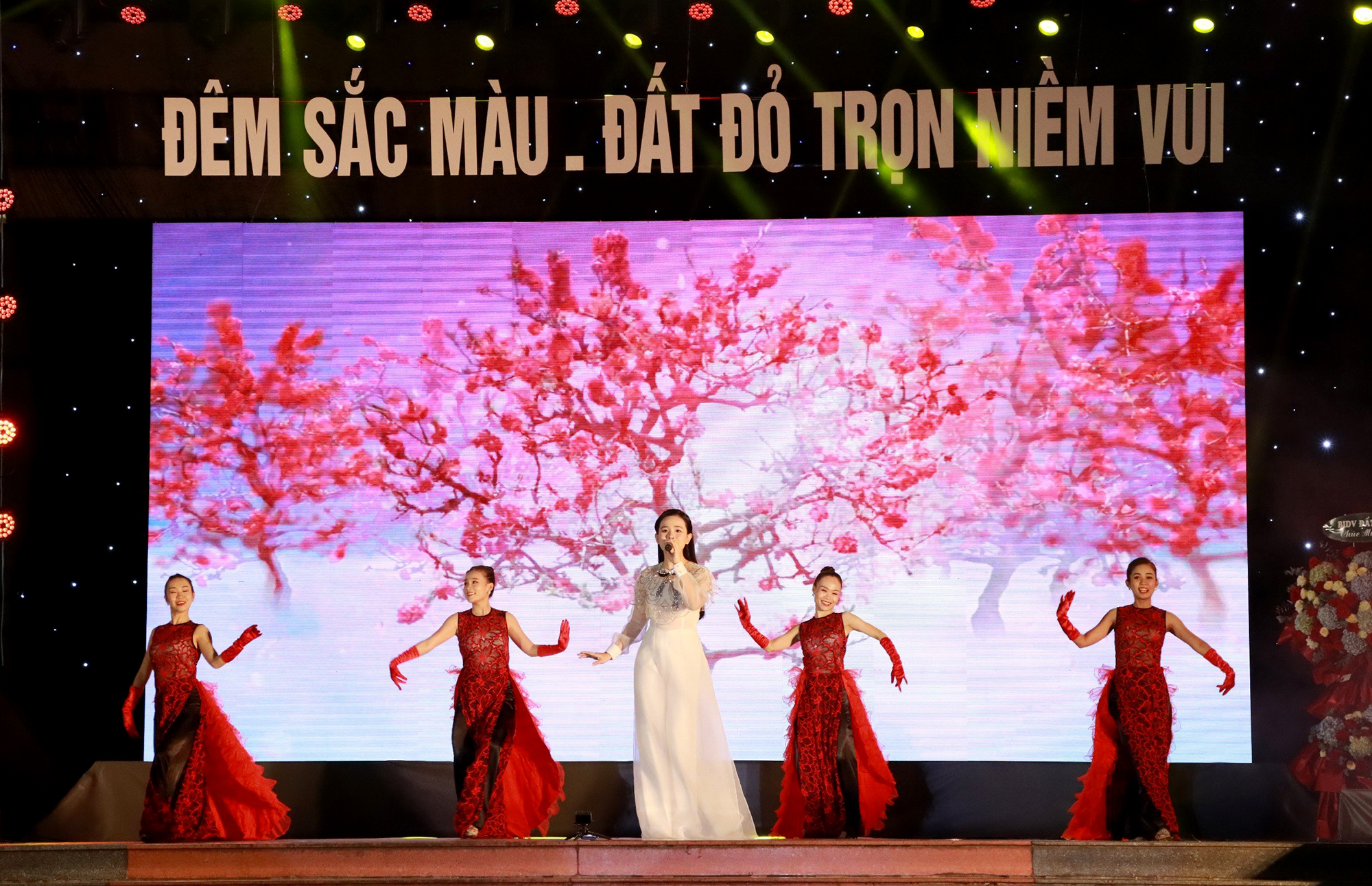 Một tiết mục văn nghệ tại Chương trình nghệ thuật chào Xuân Giáp Thìn 2024. Ảnh; MINH TÀI