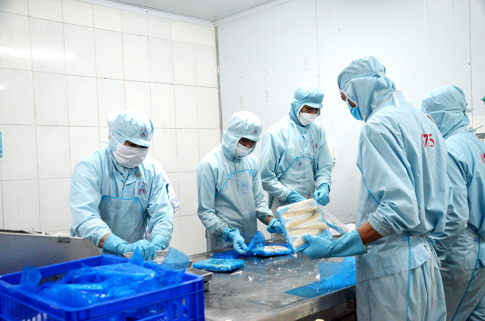 Công nhân Công ty TNHH Tứ Hải đóng gói sản phẩm cá đục xuất khẩu.