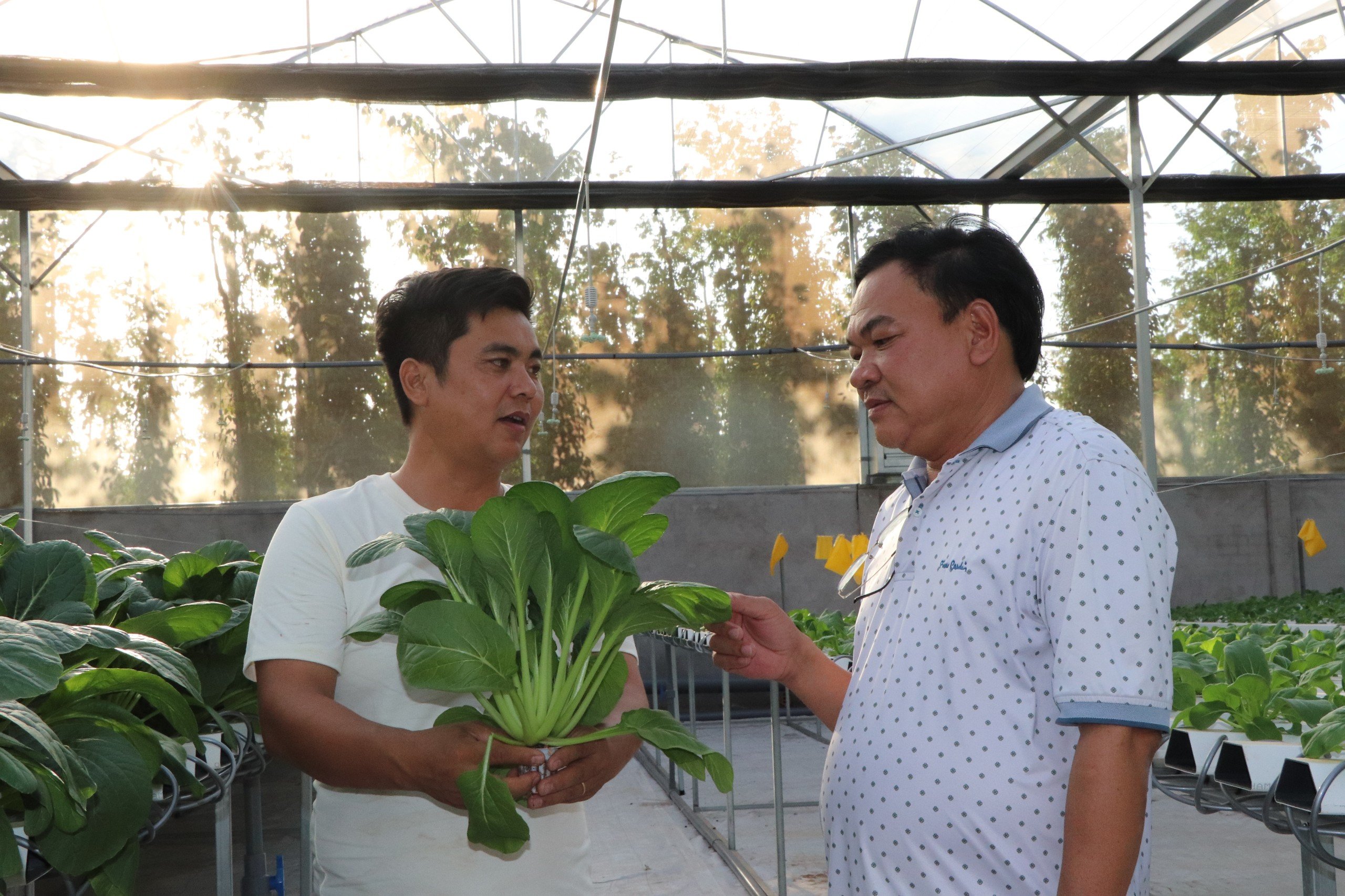 Anh Lưu Văn Hùng (trái) giới thiệu với khách tham quan về mô hình trồng rau thủy canh. 