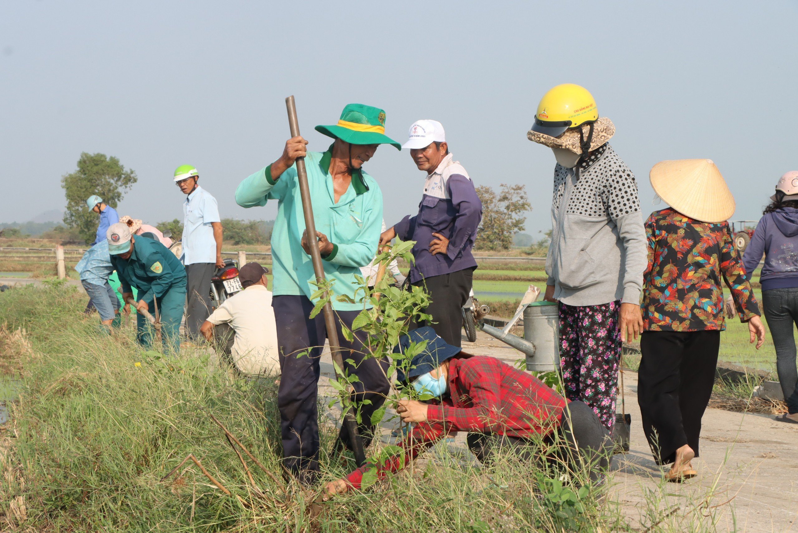 Hội viên nông dân xã Phước Hội tham gia trồng hoa dọc theo tuyến đường kênh Cầu Dài - đập Quá Giang, thuộc ấp Hội Mỹ.  