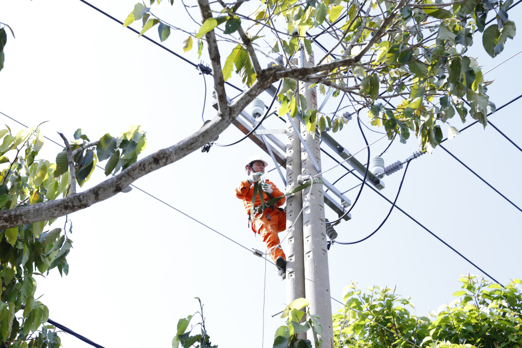 Đề xuất rút ngắn thời gian điều chỉnh giá từ 6 tháng xuống 3 tháng giúp việc điều hành giá điện linh hoạt, hiệu quả hơn với tình hình kinh tế từng giai đoạn. Trong ảnh: Nhân viên Công ty Điện lực Bà Rịa-Vũng Tàu bảo trì lưới điện tại phường 12, TP. Vũng Tàu.