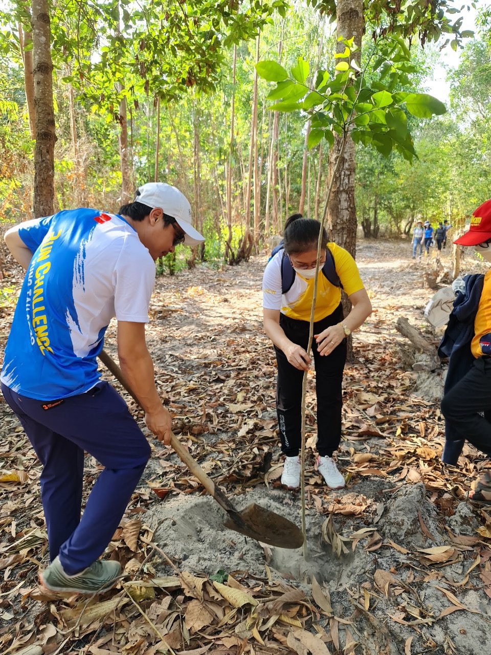 Cán bộ, công nhân Công ty CP Phát triển công viên cây xanh và đô thị tham gia trồng rừng tại rừng Bình Châu-Phước Bửu (huyện Xuyên Mộc).