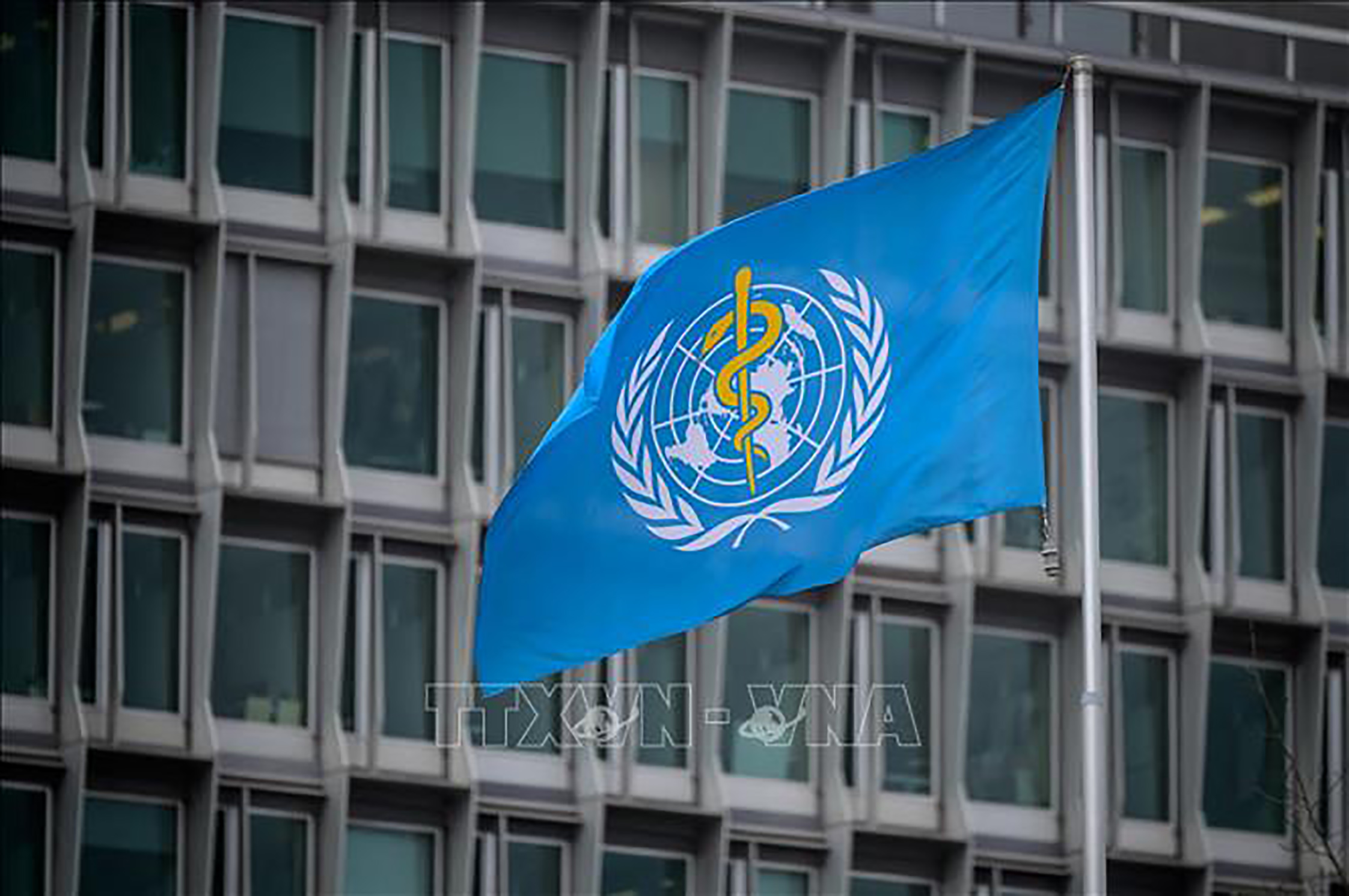 Trụ sở Tổ chức Y tế thế giới (WHO) tại Geneva, Thụy Sĩ.
