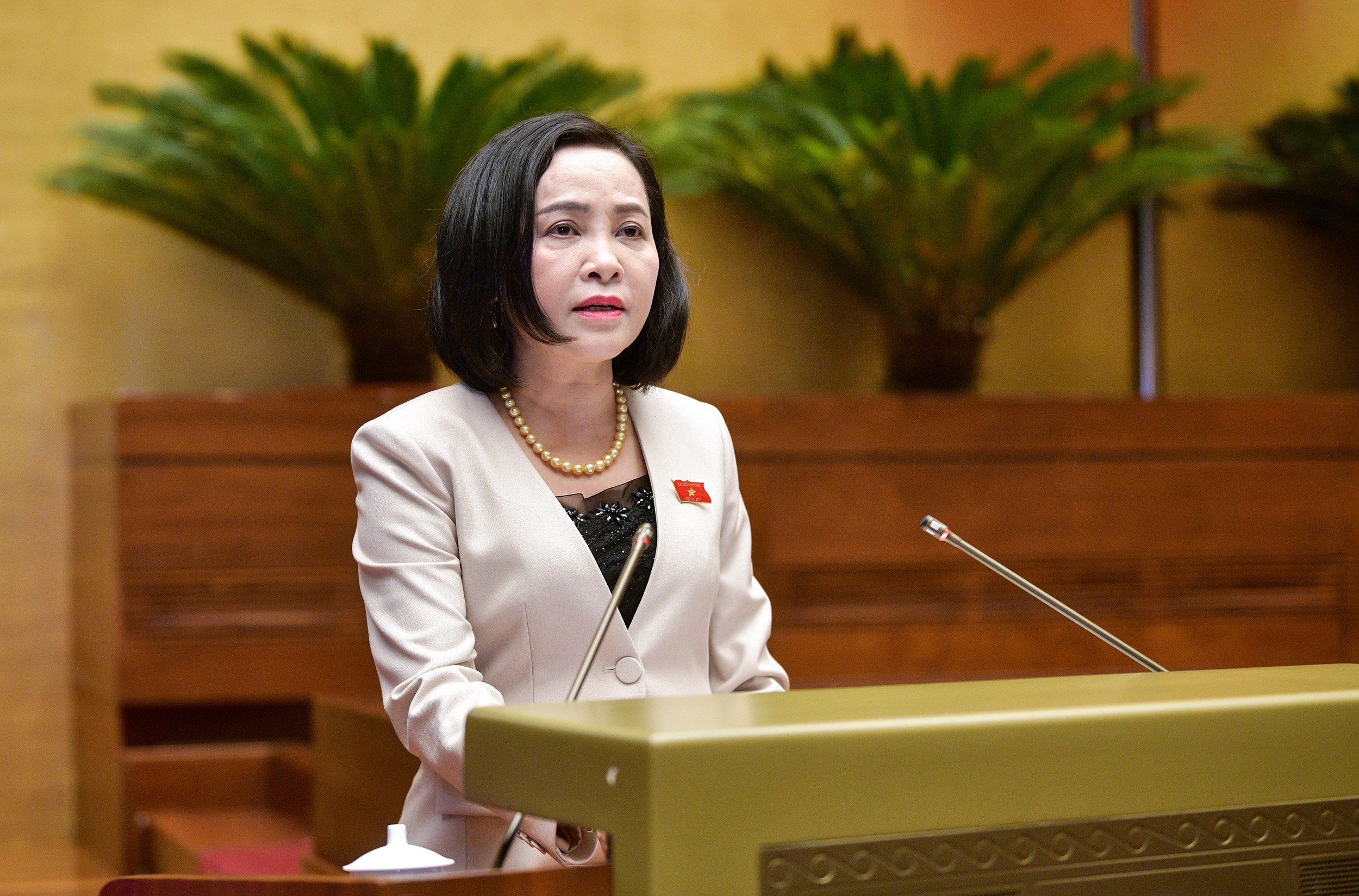 Trưởng ban Công tác đại biểu Nguyễn Thị Thanh báo cáo tại hội nghị.